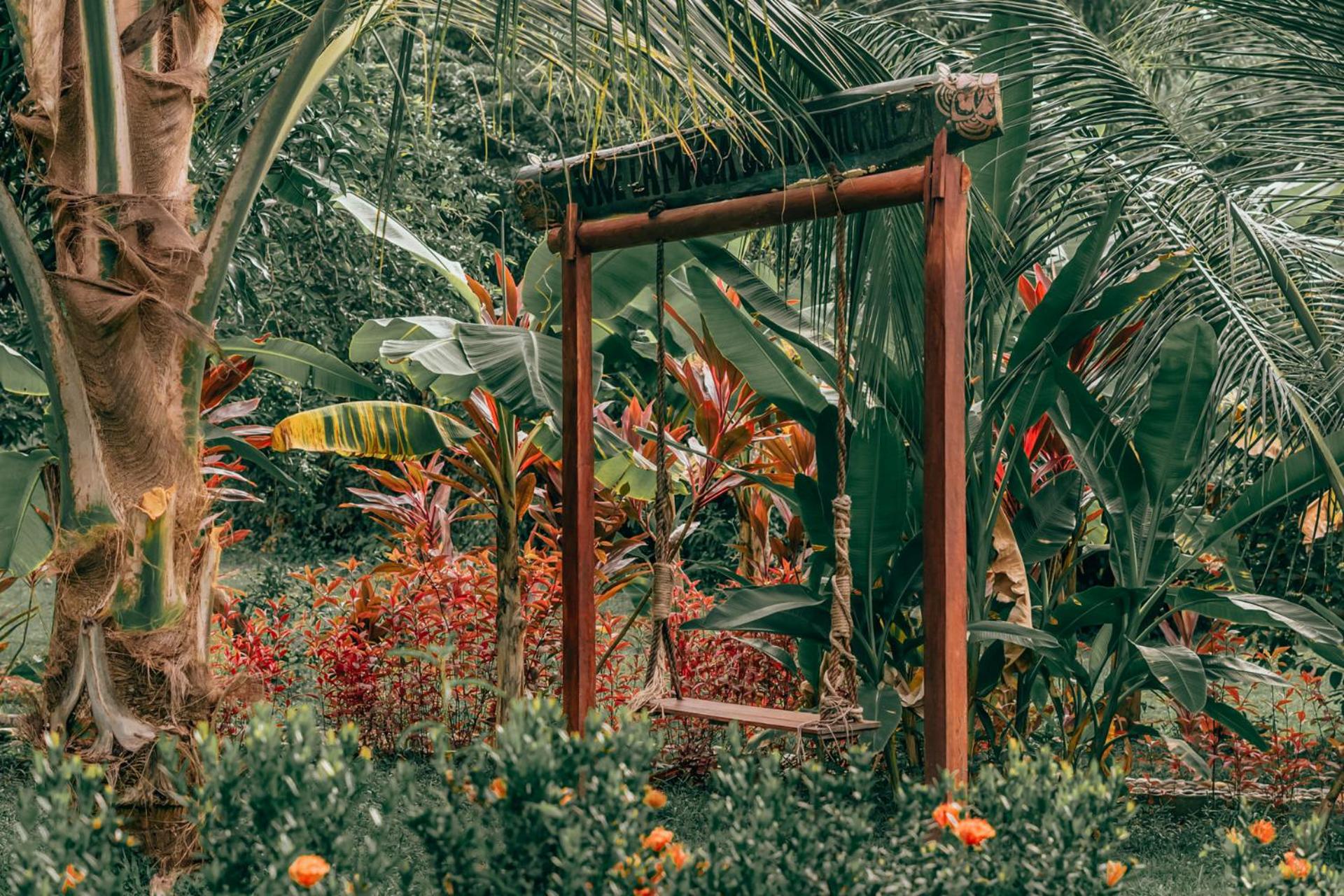 Magic Green Dentro del Parque Tayrona
