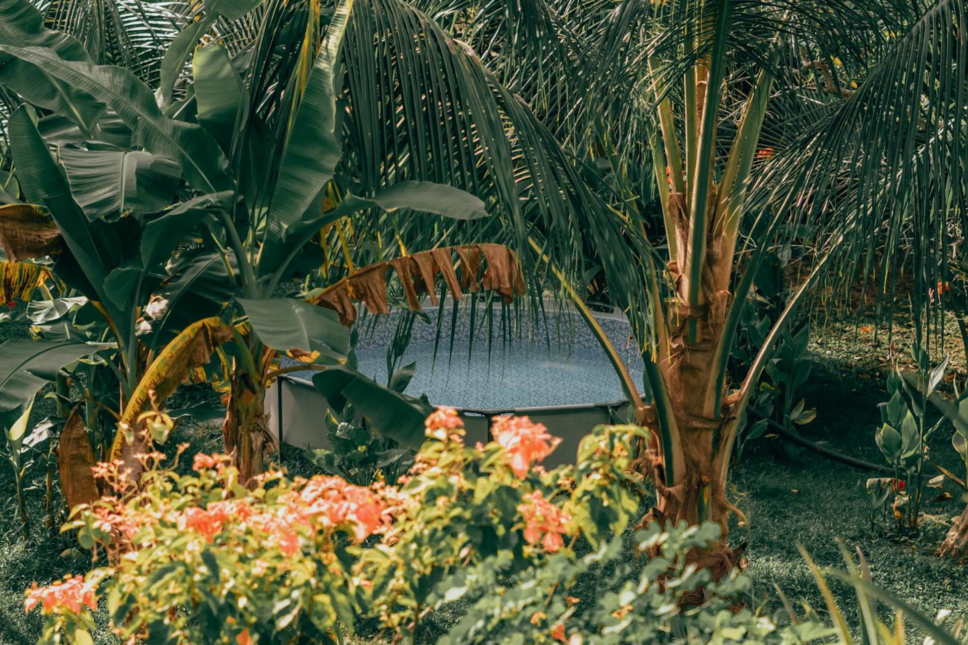 Magic Green Dentro del Parque Tayrona