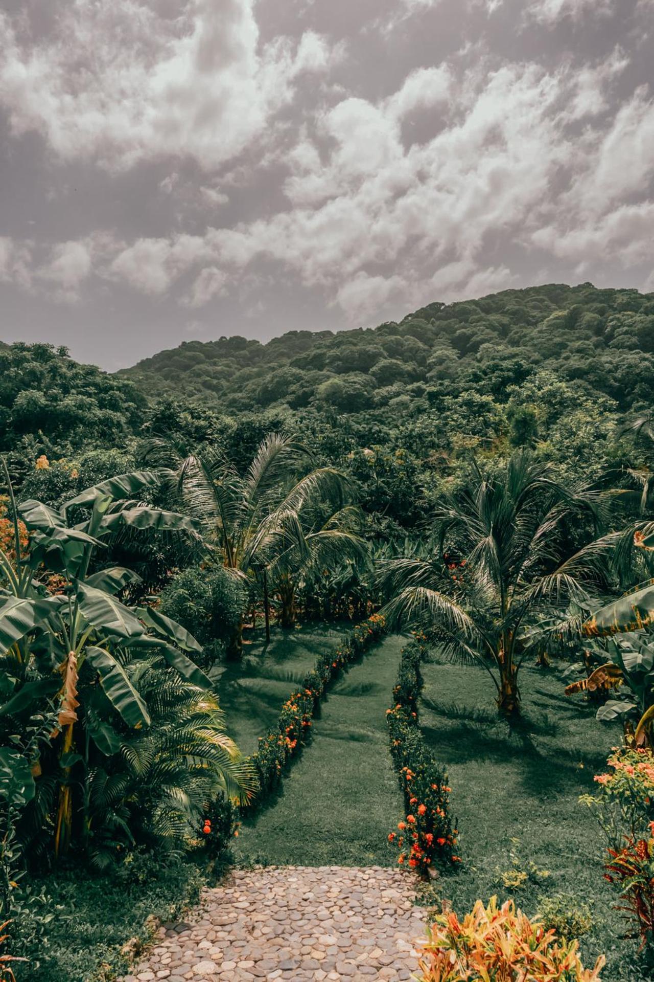 Magic Green Dentro del Parque Tayrona