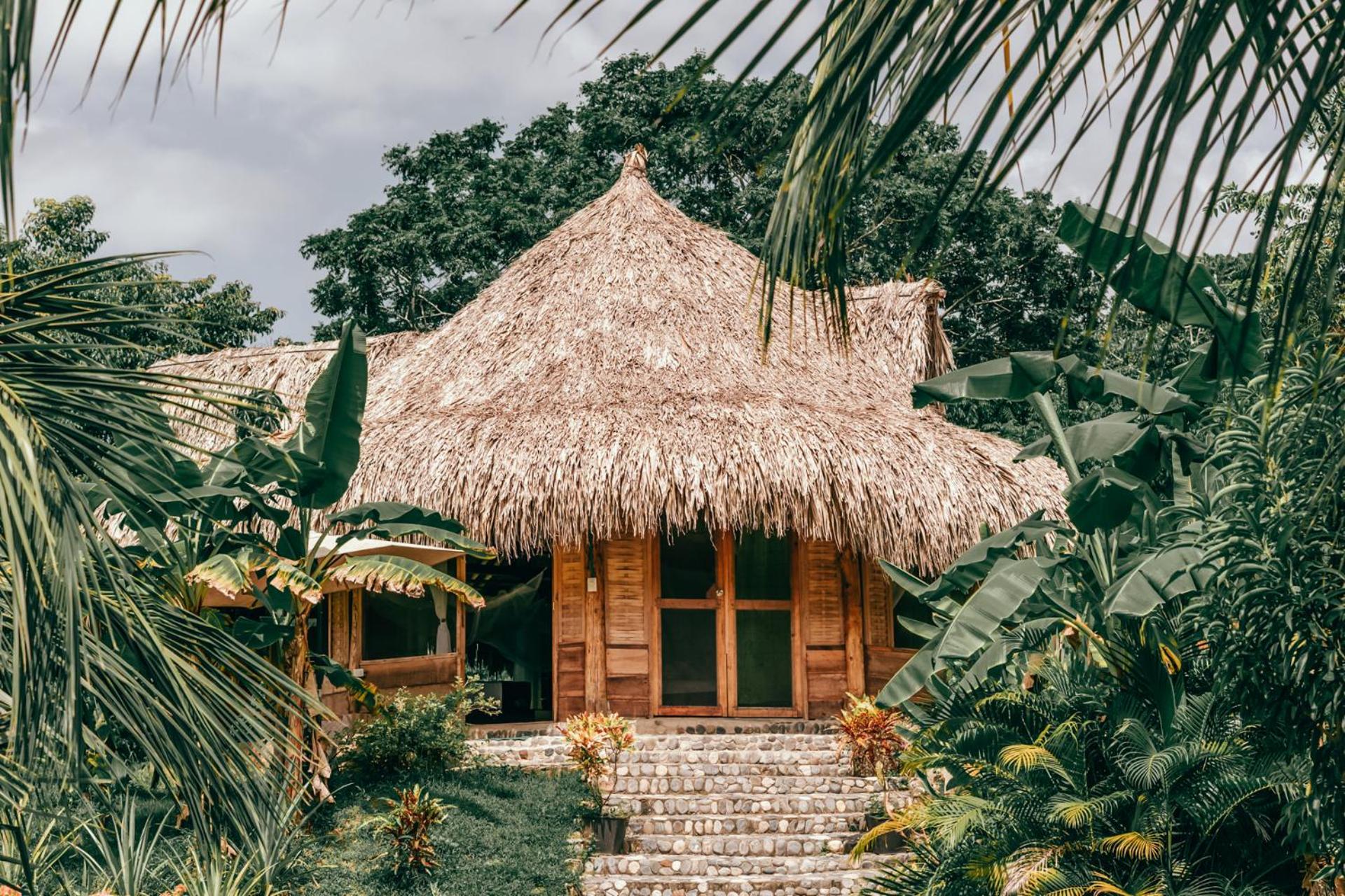 Magic Green Dentro del Parque Tayrona