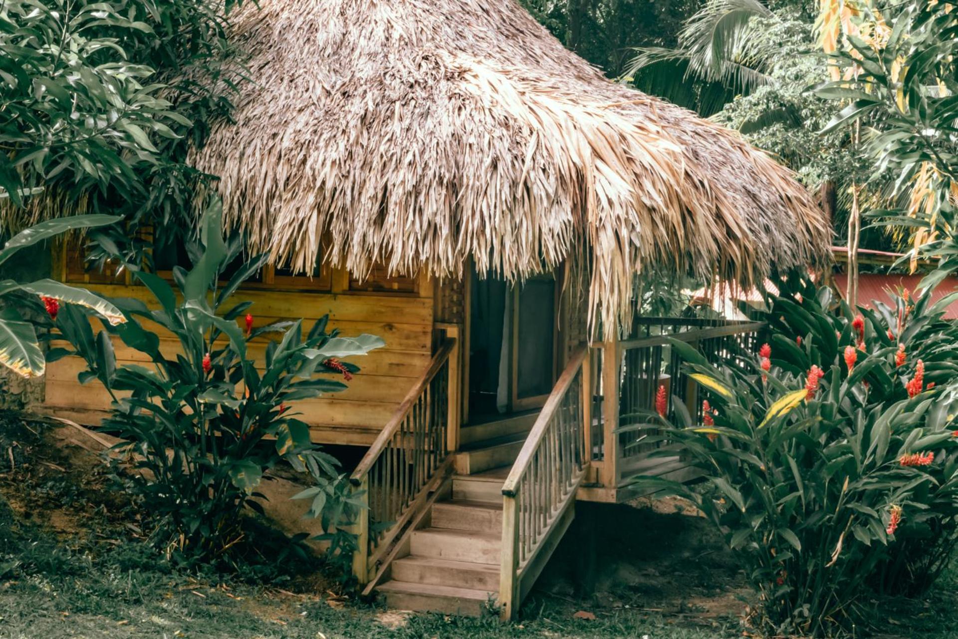Magic Green Dentro del Parque Tayrona