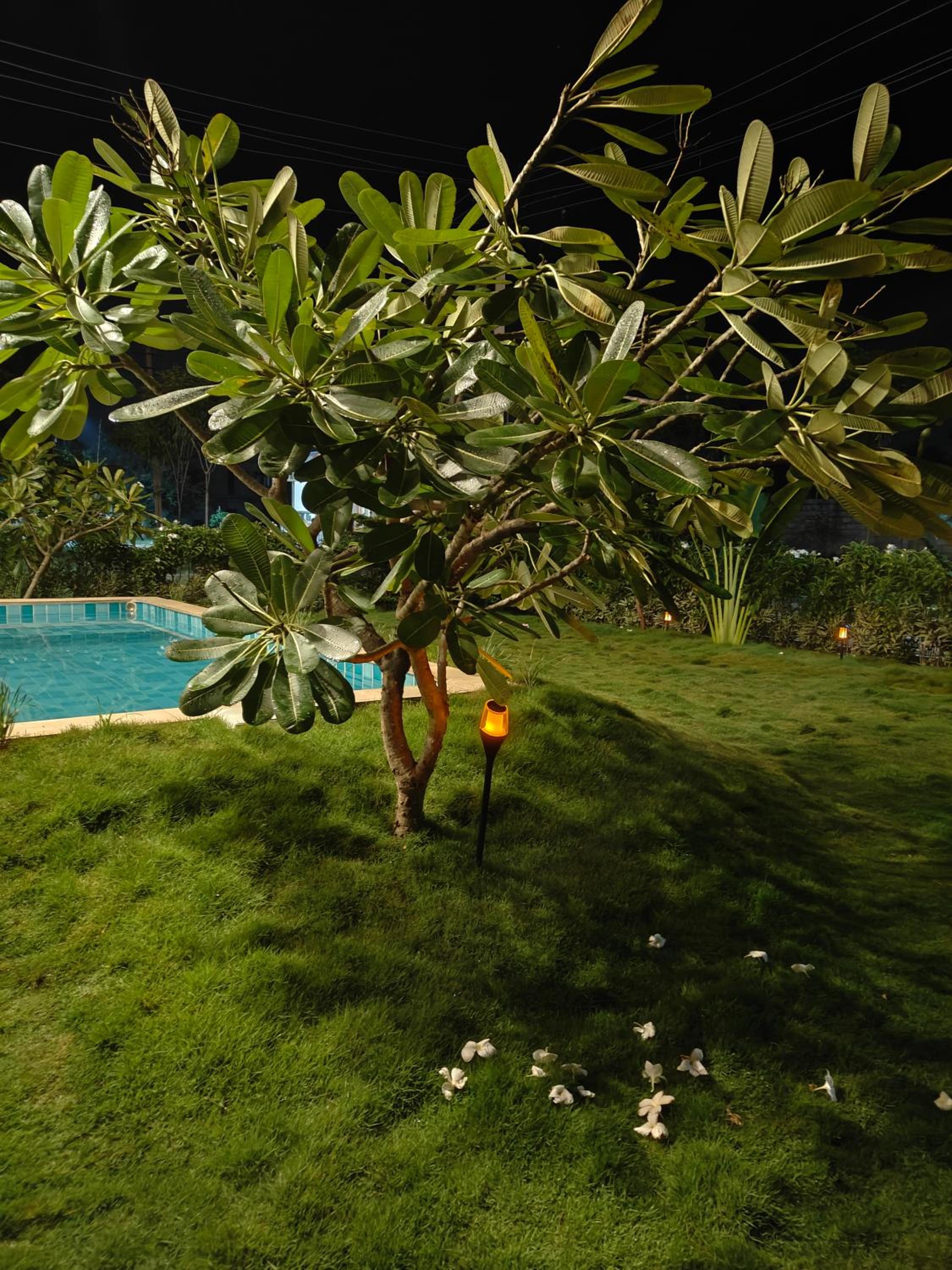 Tuscan Breeze, Nandi Hills