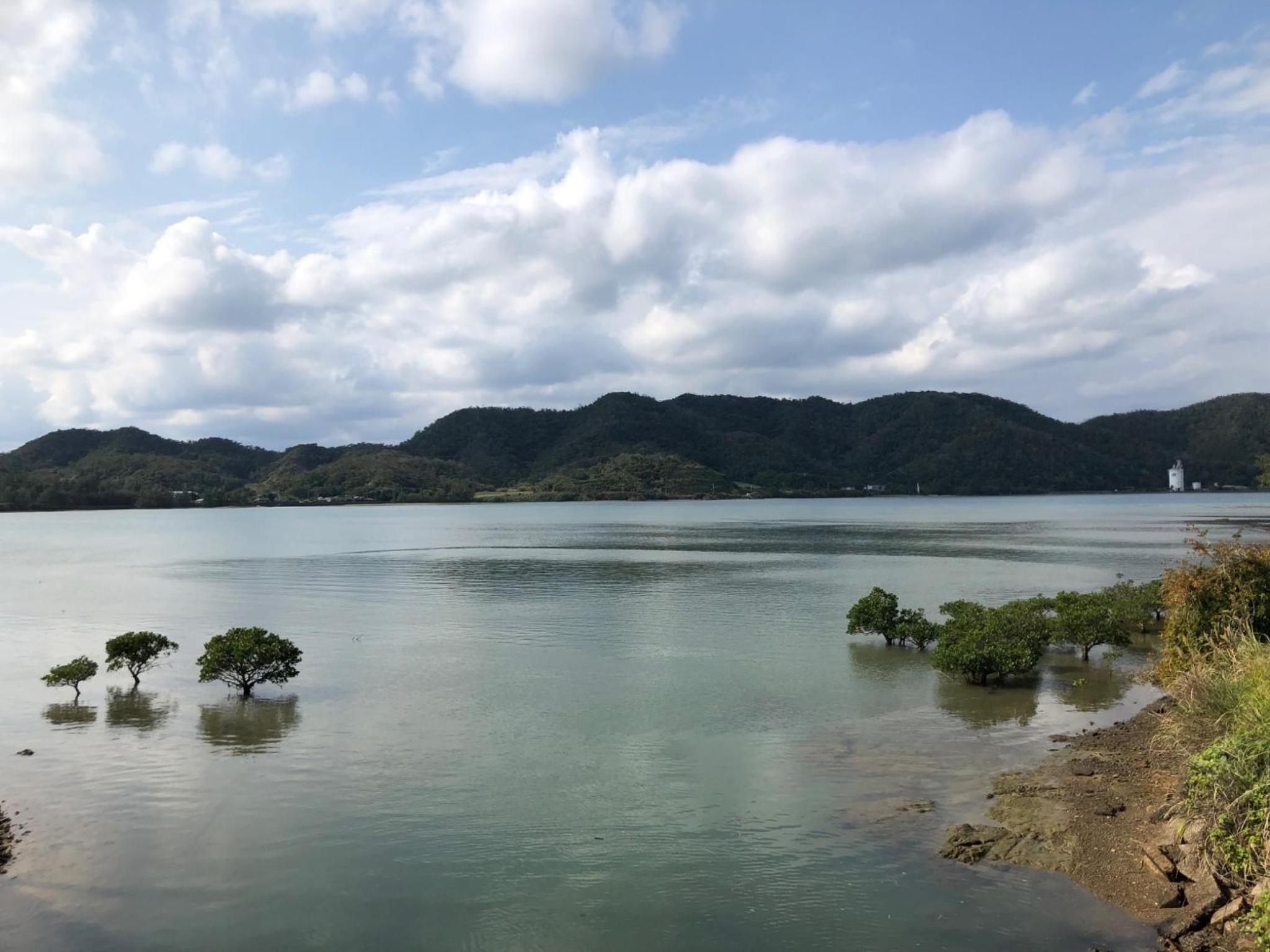 Amami North Mangrove Inn - Vacation STAY 90032v view 4