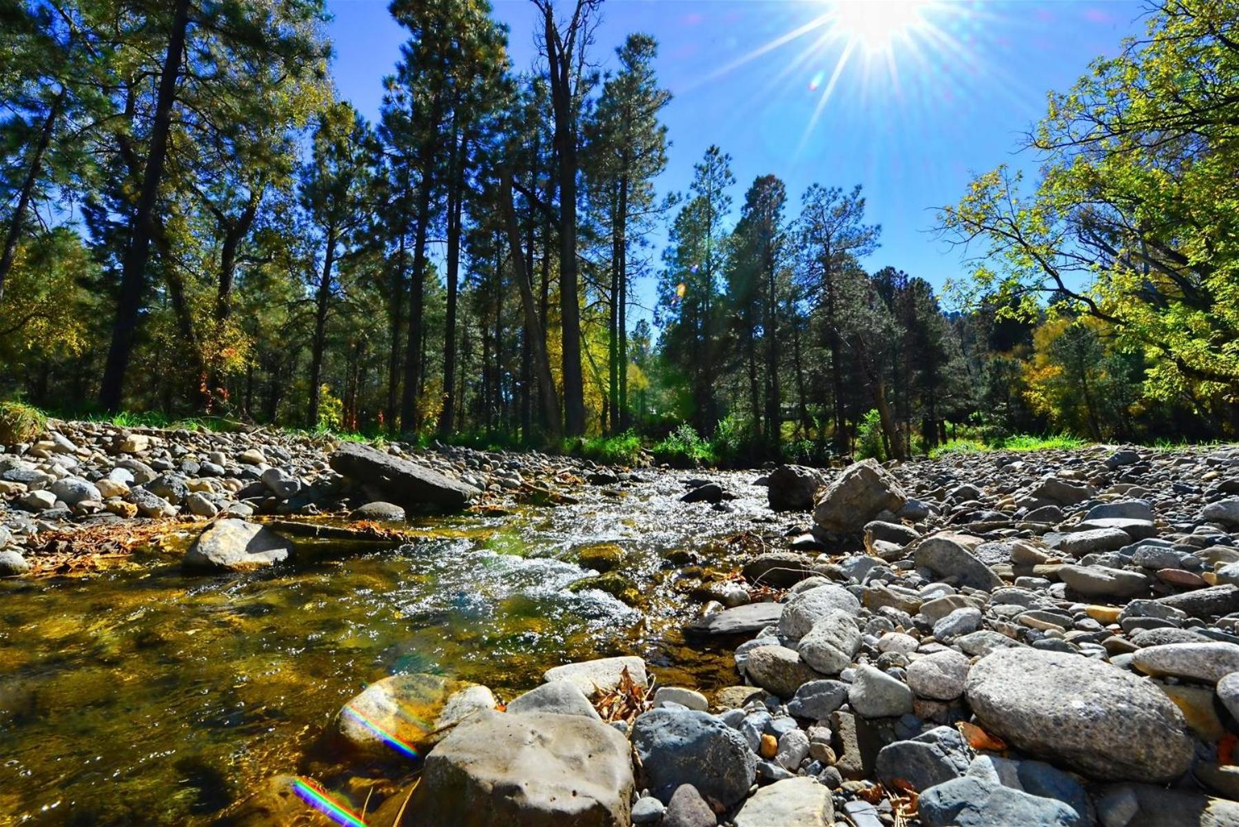 Rivers Edge Cabin view 4