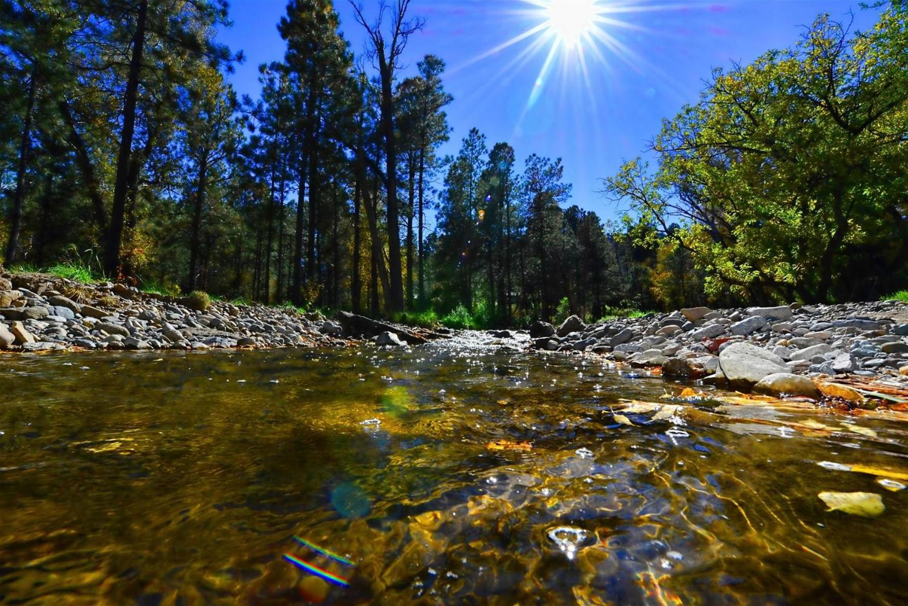Rivers Edge Cabin view 5