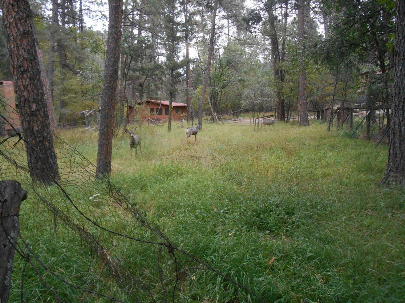 Photo 22