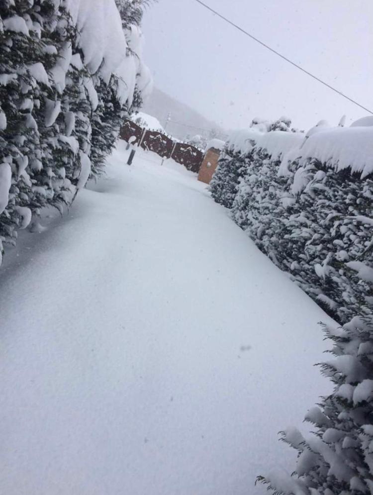 Miletto Holiday House