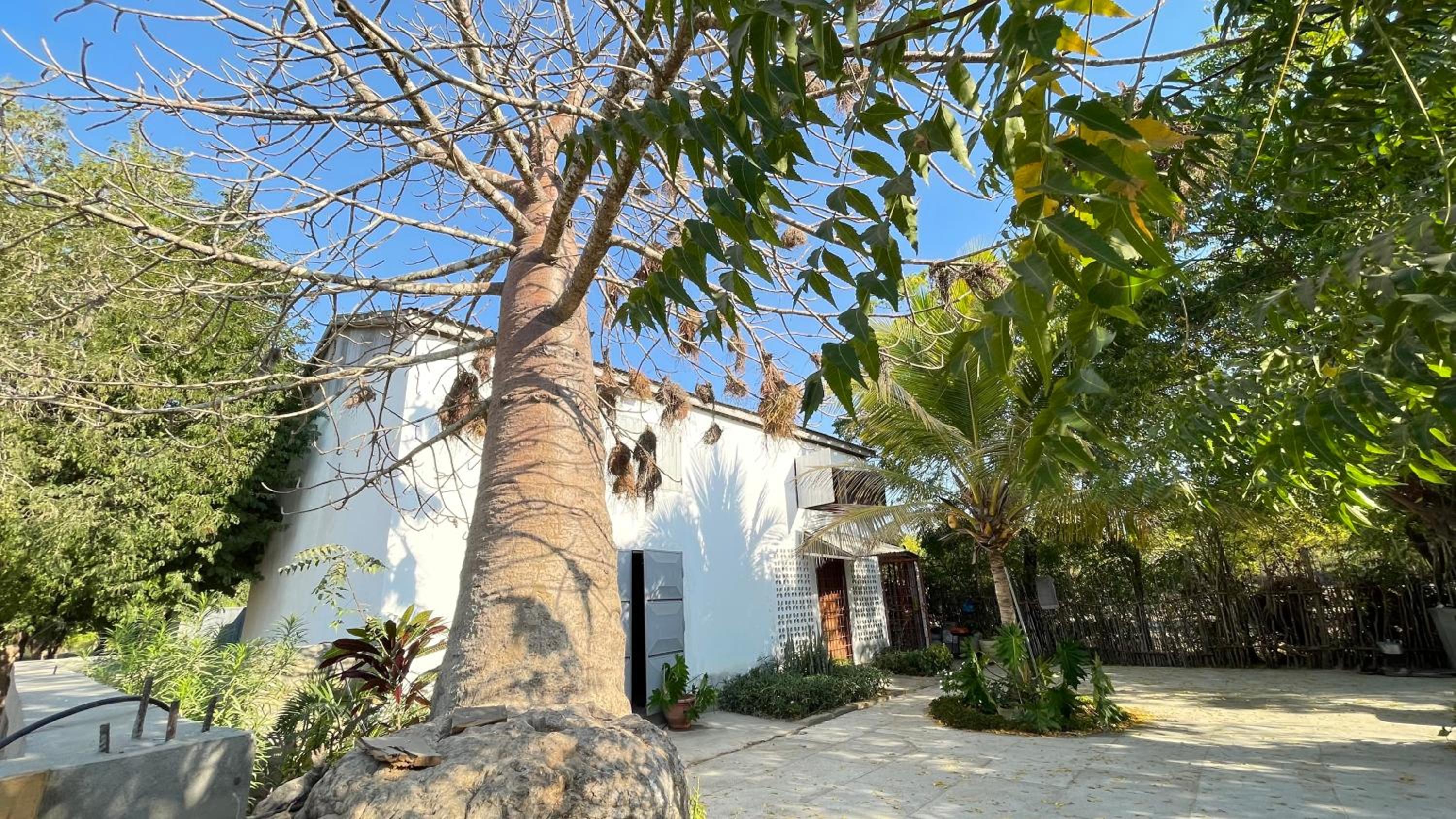 Harena Villa view 2
