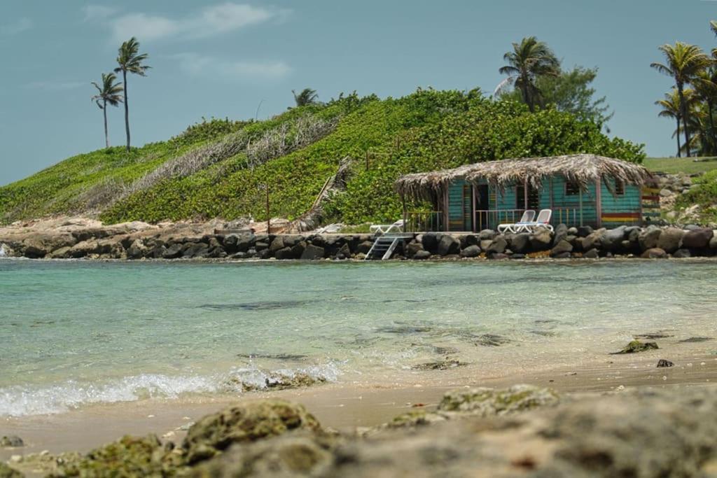 Studio plage et piscine à 200m - Saint François Guadeloupe