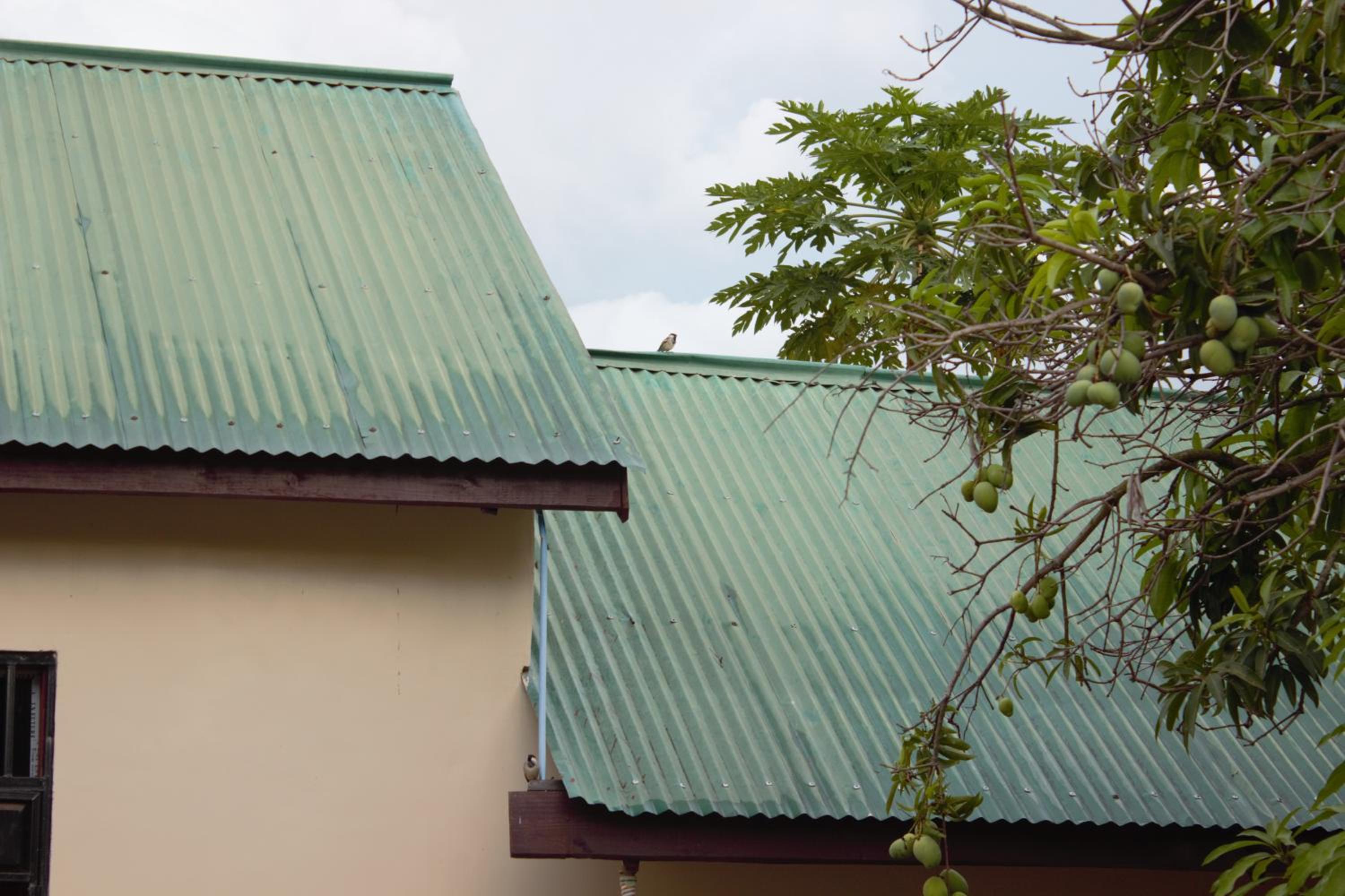 Cleopatra Homes
