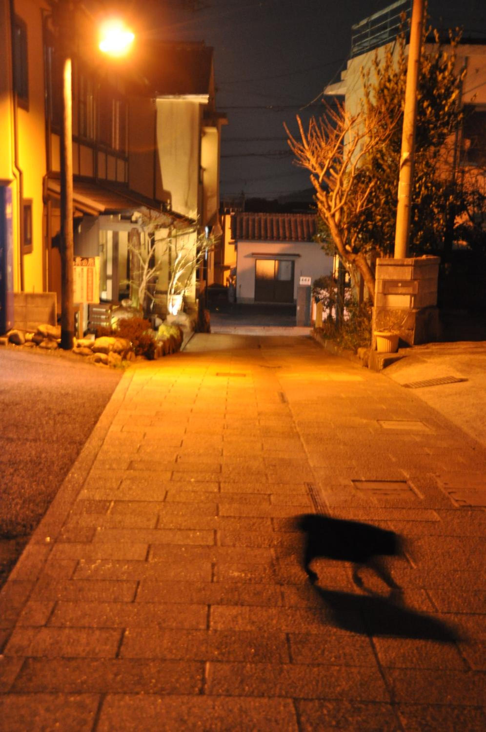 全5室の小さな温泉旅館 別府鉄輪温泉 萬力屋, photo 12