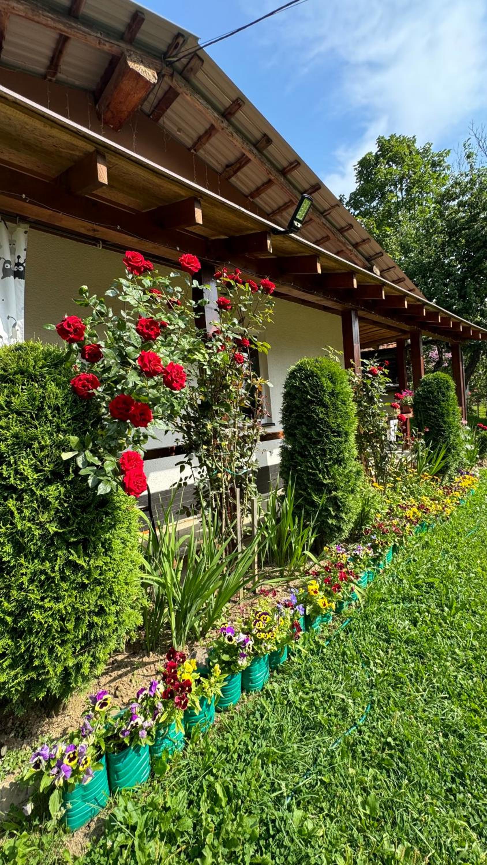 Dacha PODOBOVETS 127 view 5