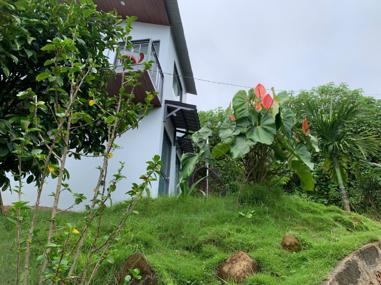Homestay Hồng Phúc view 2