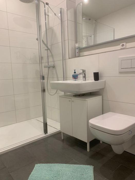 Ferienwohnung Henricistrasse