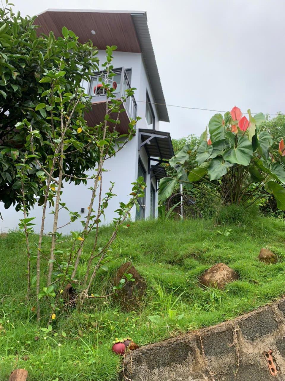 Homestay Hồng Phúc view 3