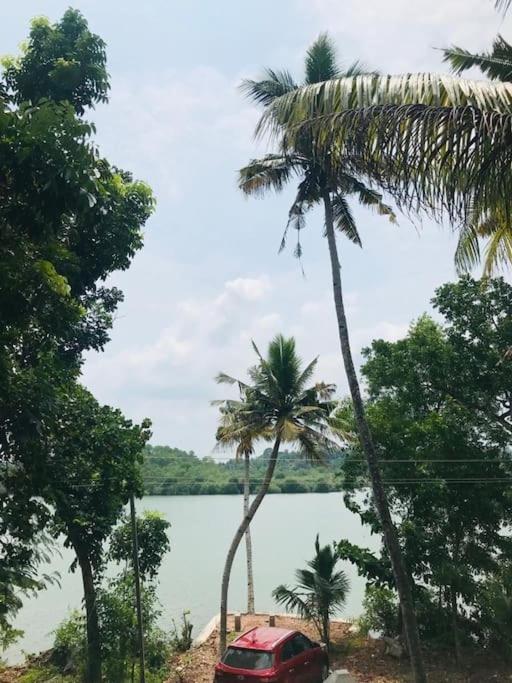 Quite and peaceful view 2