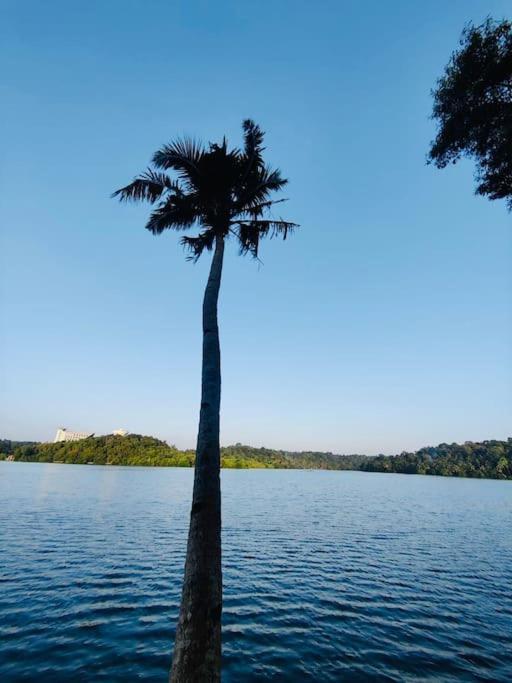 Quite and peaceful view 4