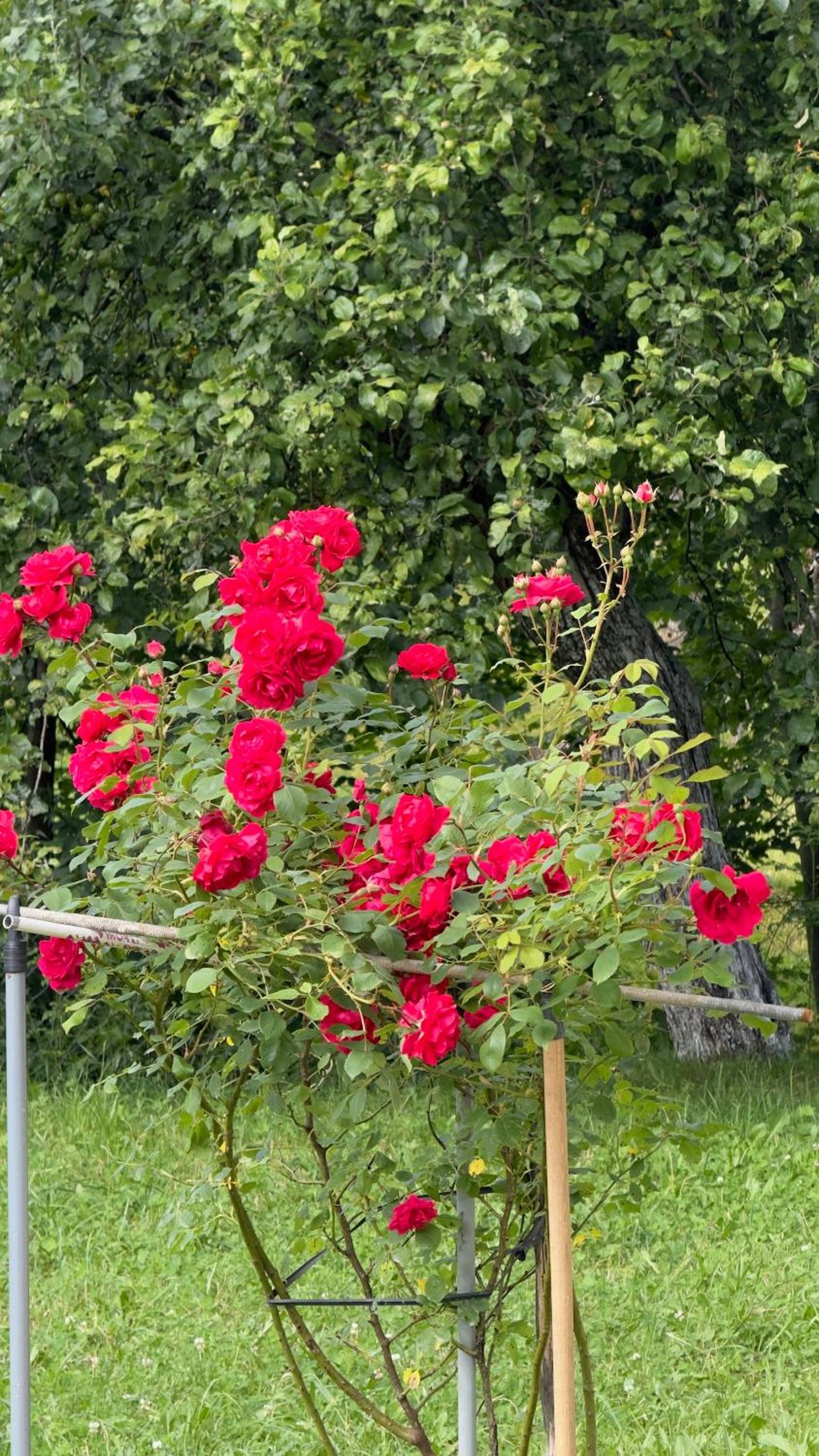 Dacha PODOBOVETS 127 view 3