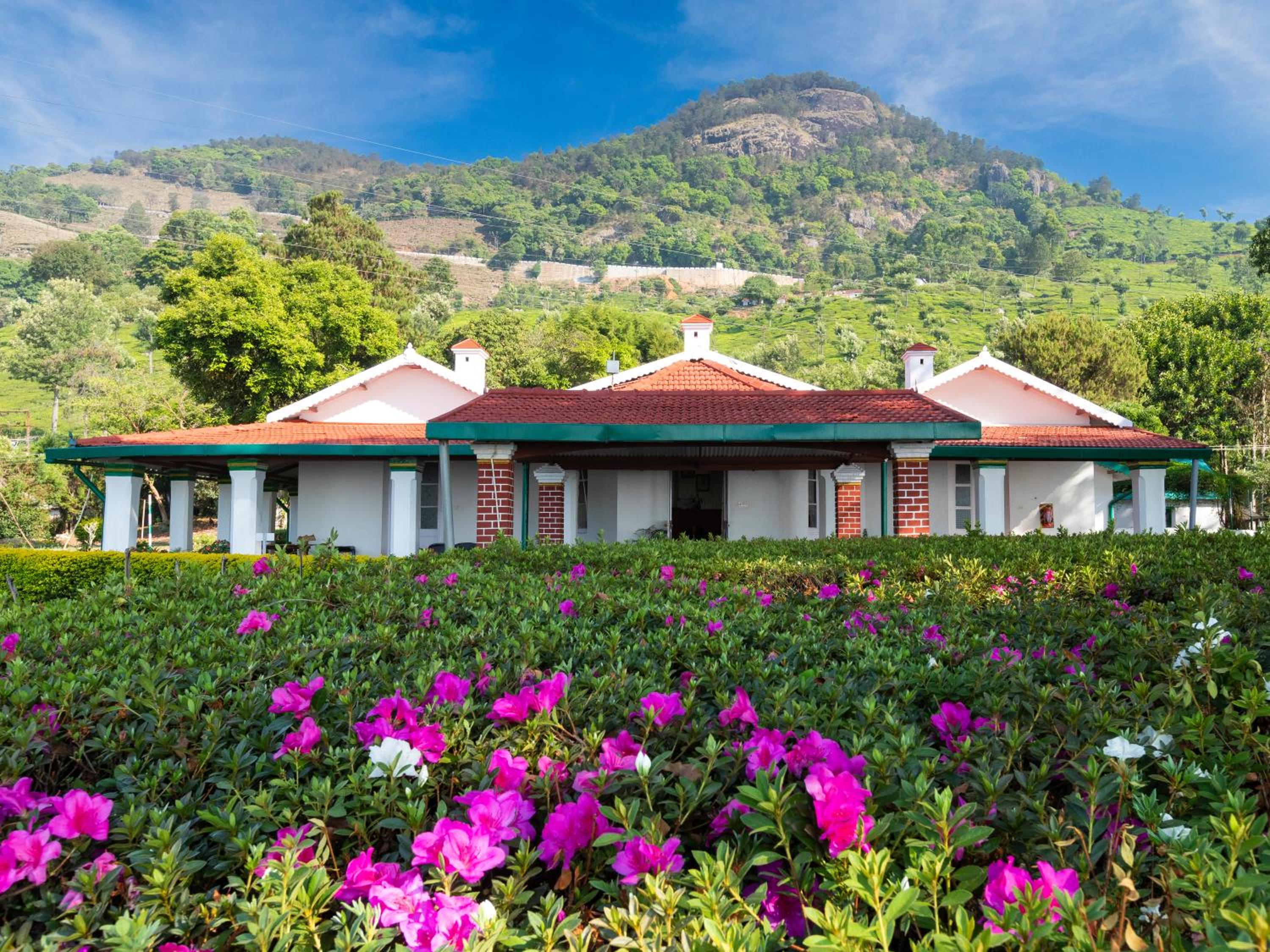 Adderley Bungalow