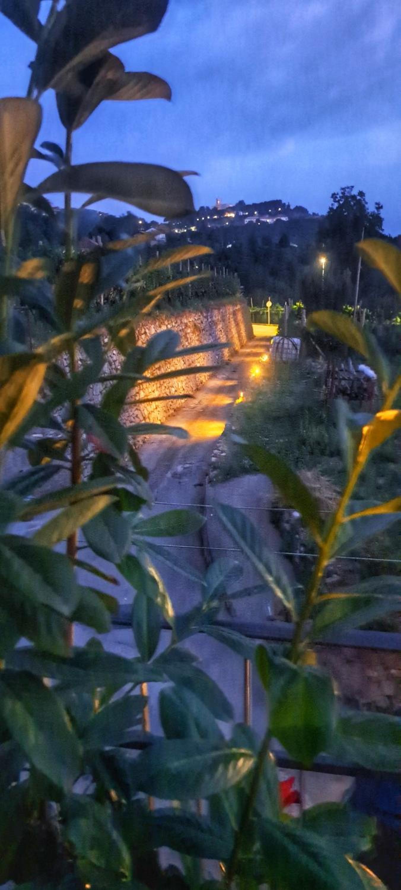 La Casetta di Zia Rosa photo 4