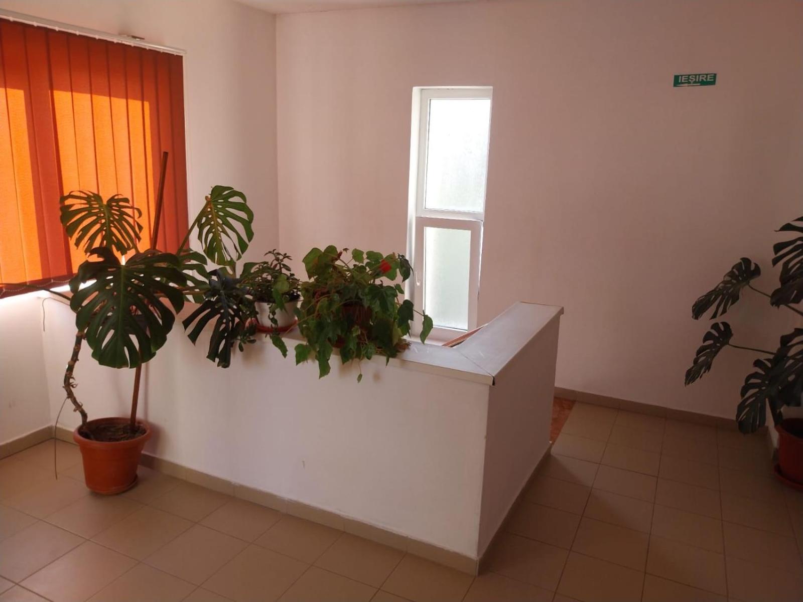 Casa de vacanță Fabian