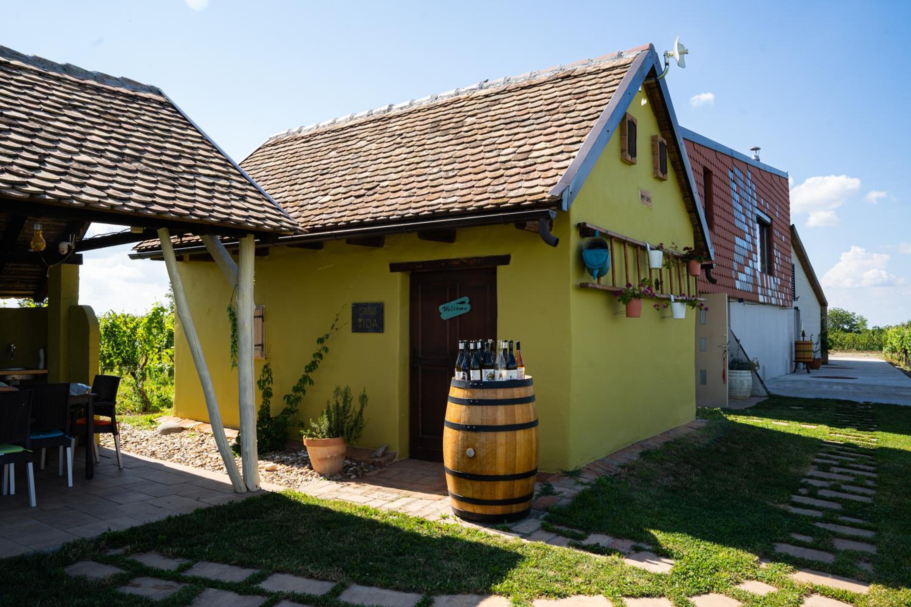 Casa VIDA
