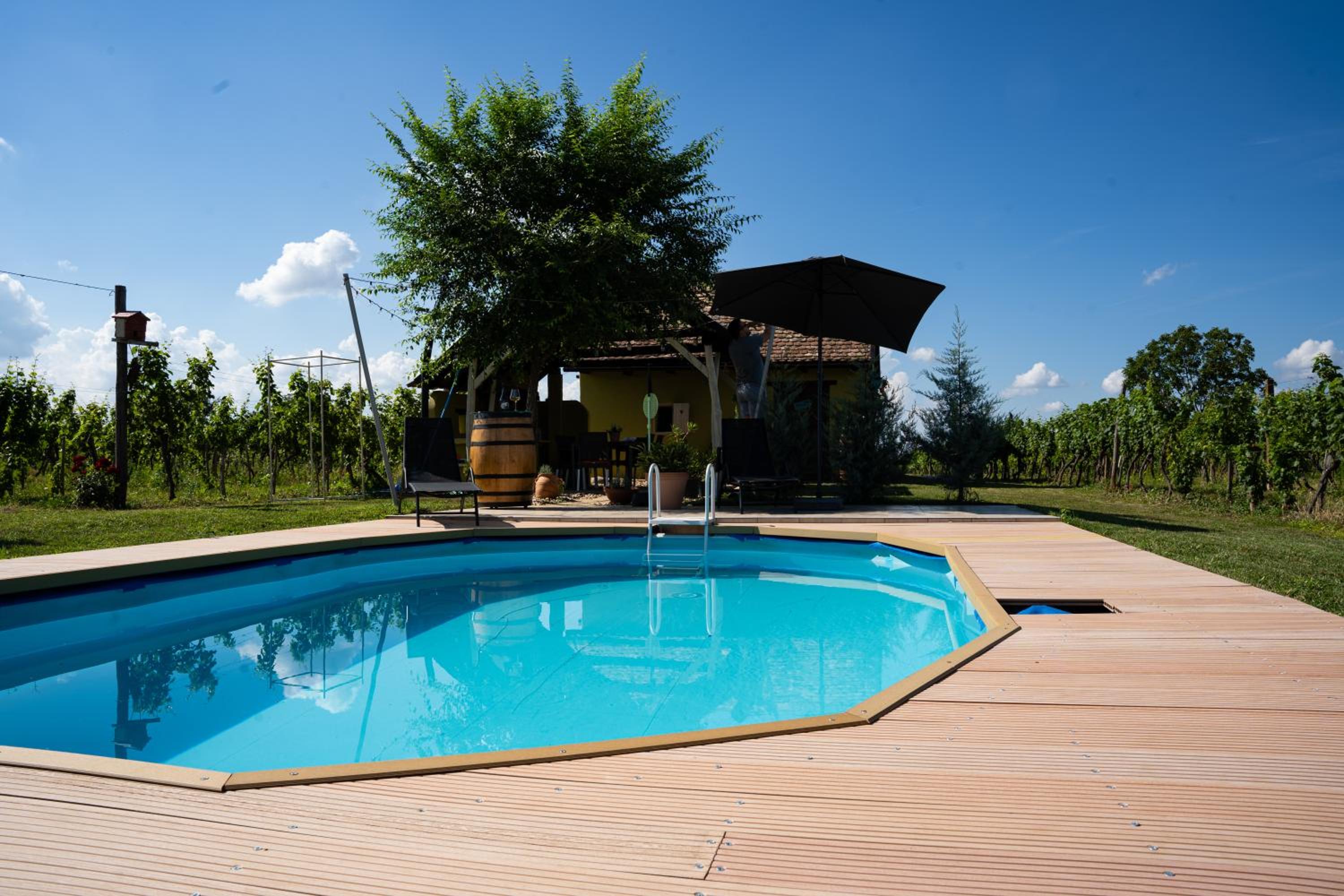 Casa VIDA