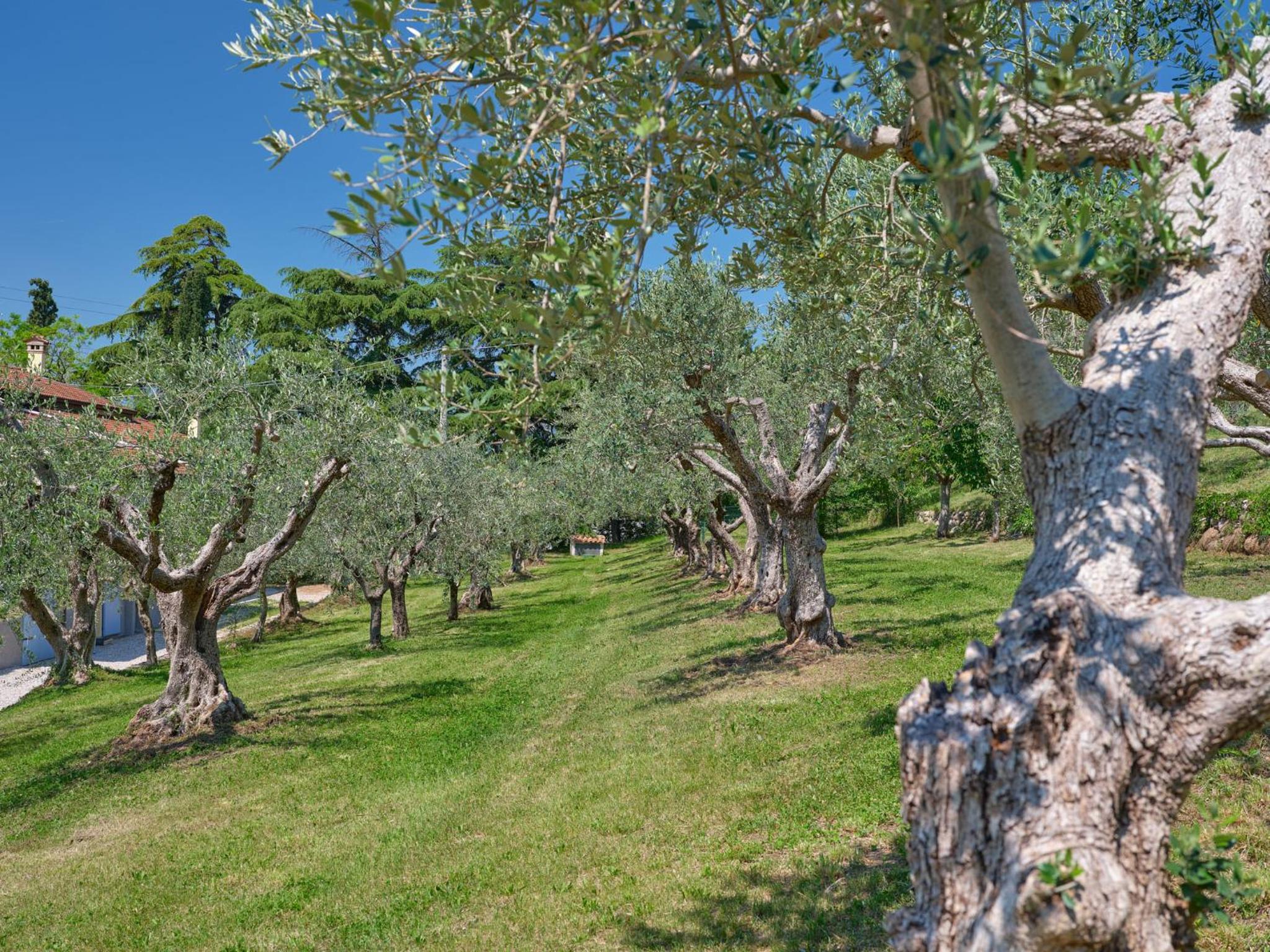 Cason degli ulivi-APT Suite photo 5