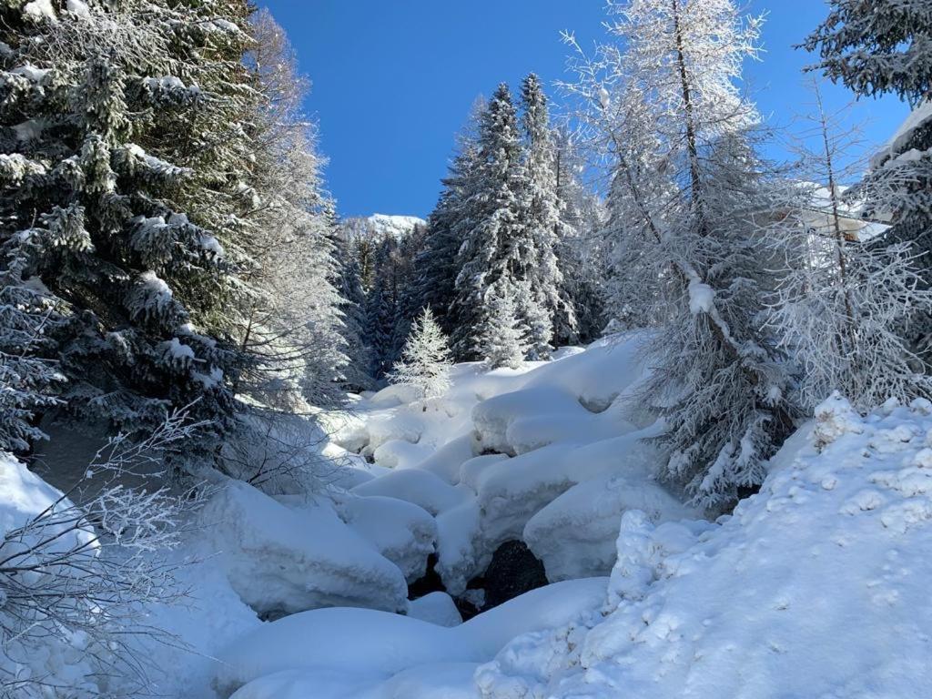 Chalet dei sogni Valtellina Gerola alta Pescegallo view 3