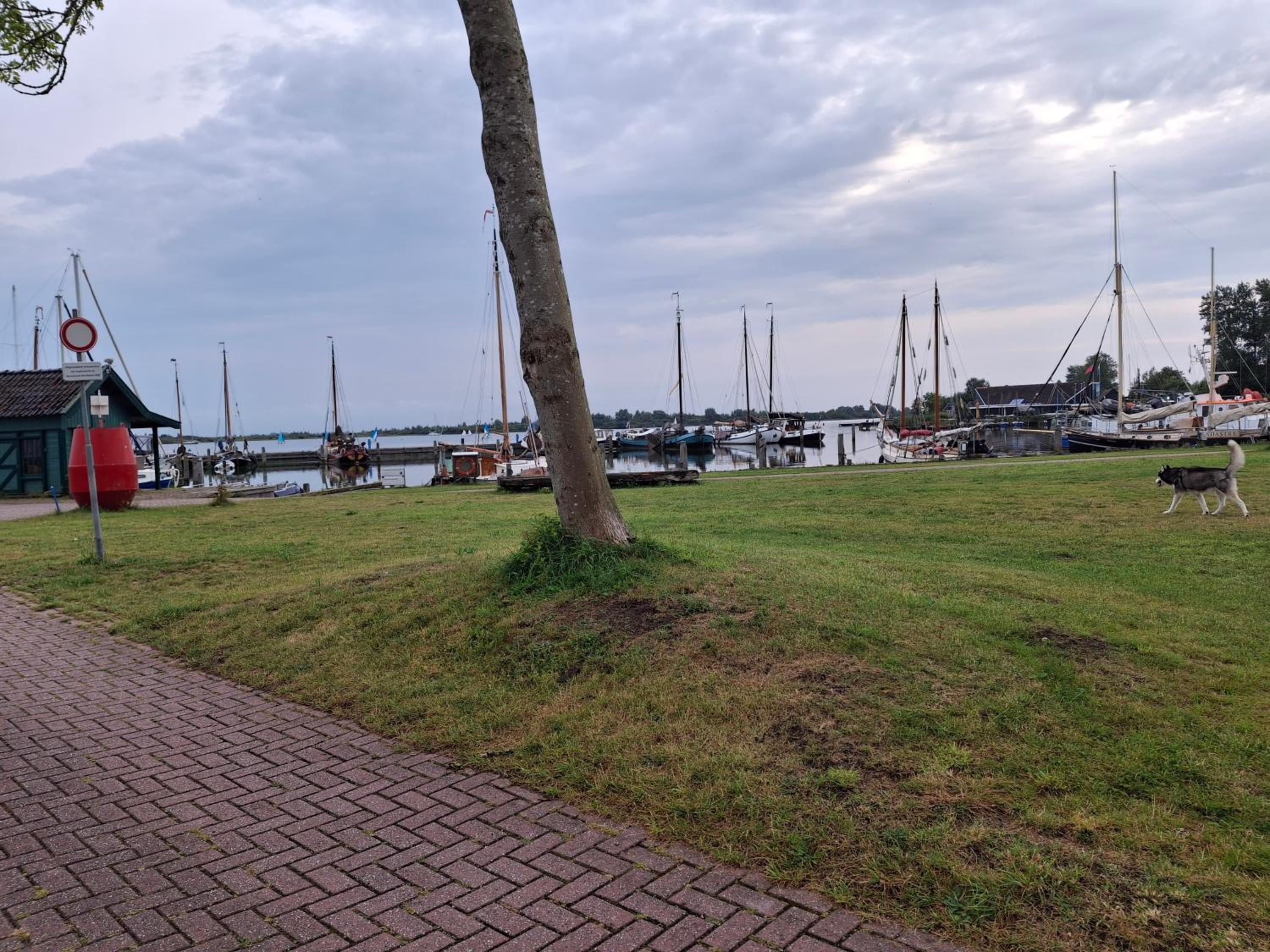 Photo 21