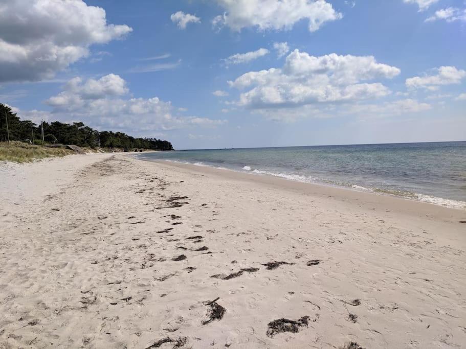 Sea-loving house, photo 11