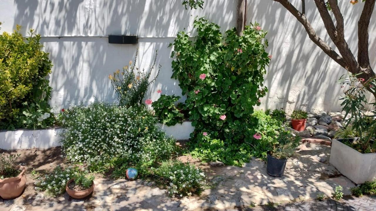 Mi lugar