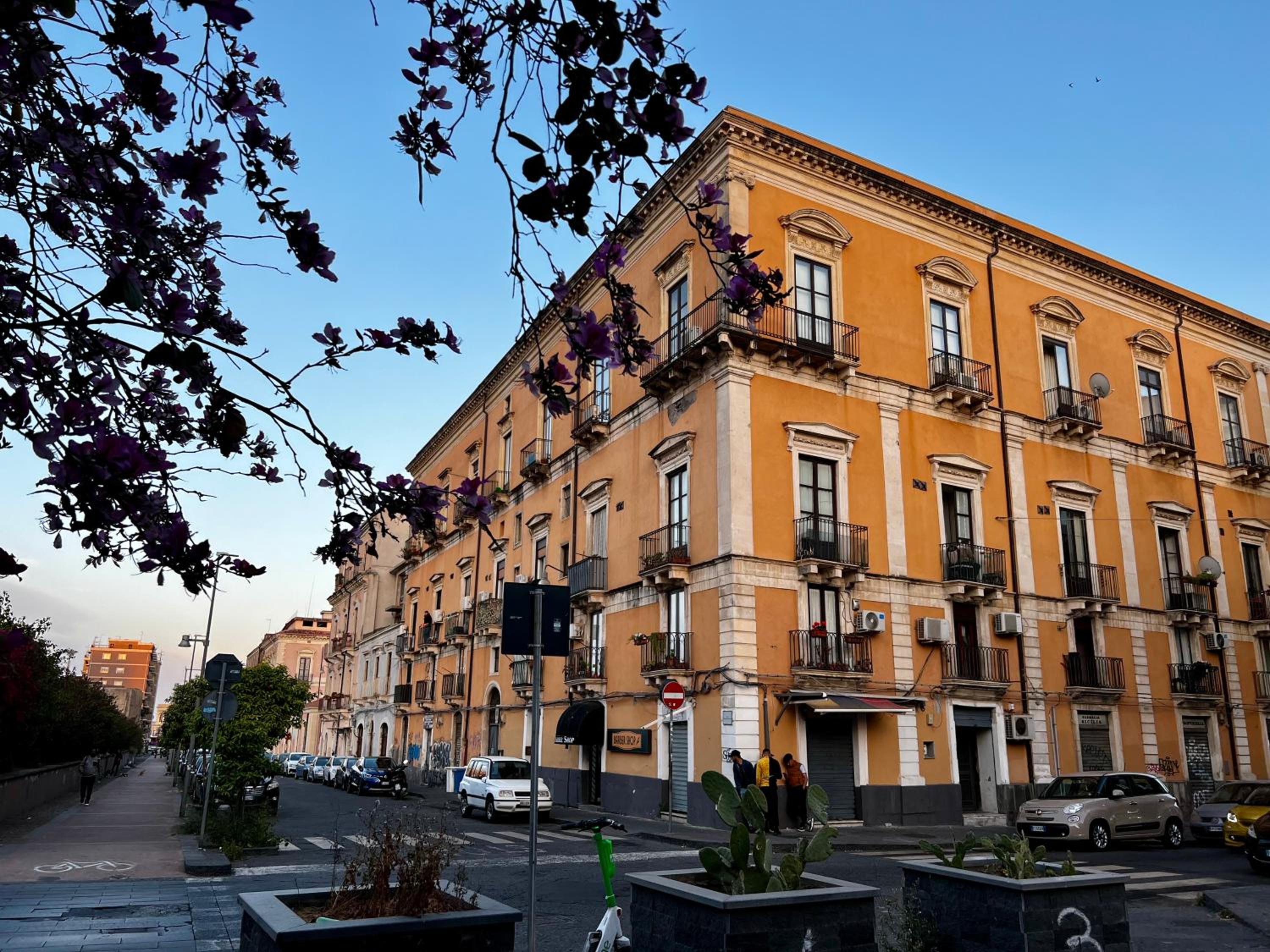 building