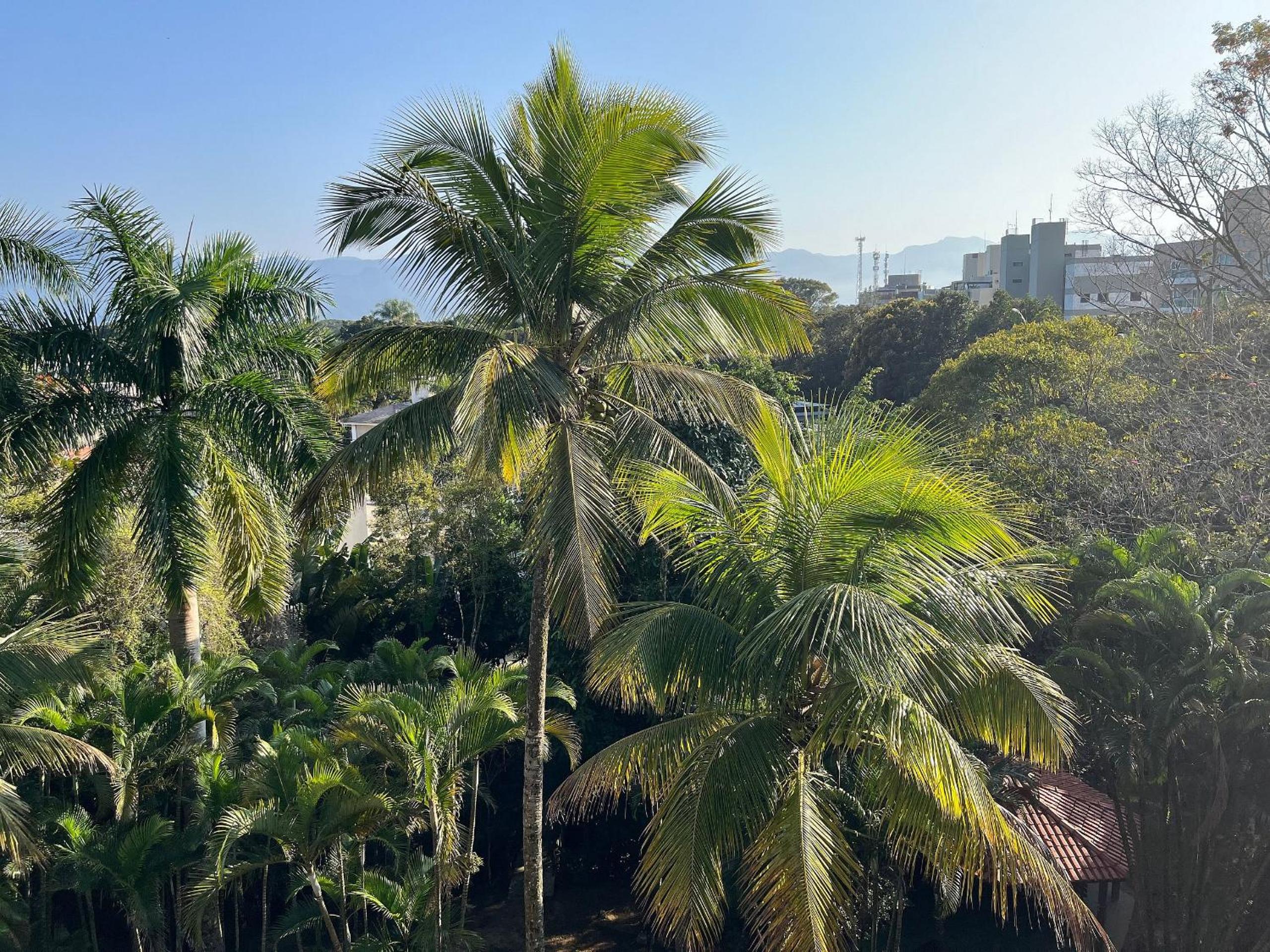 Riviera: M4 Giardino 44A, Beach front