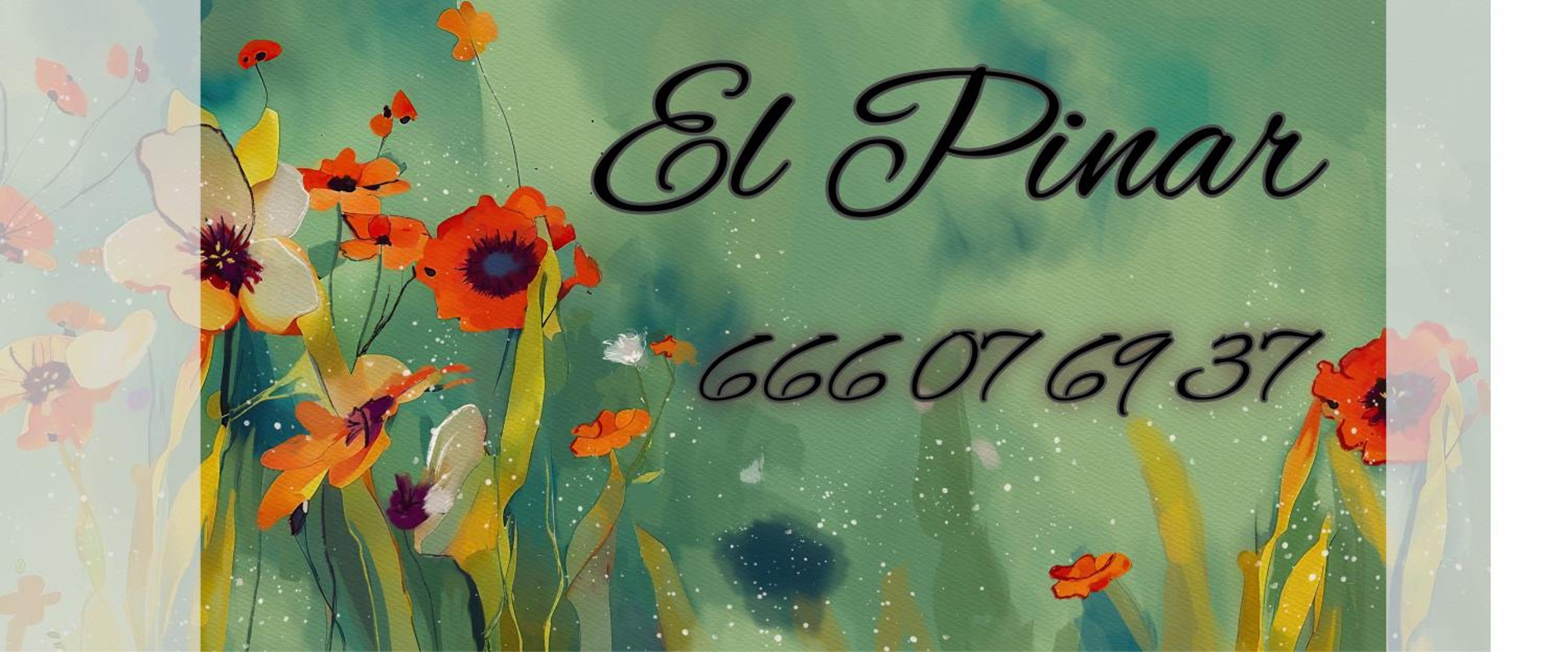 Casa El Pinar