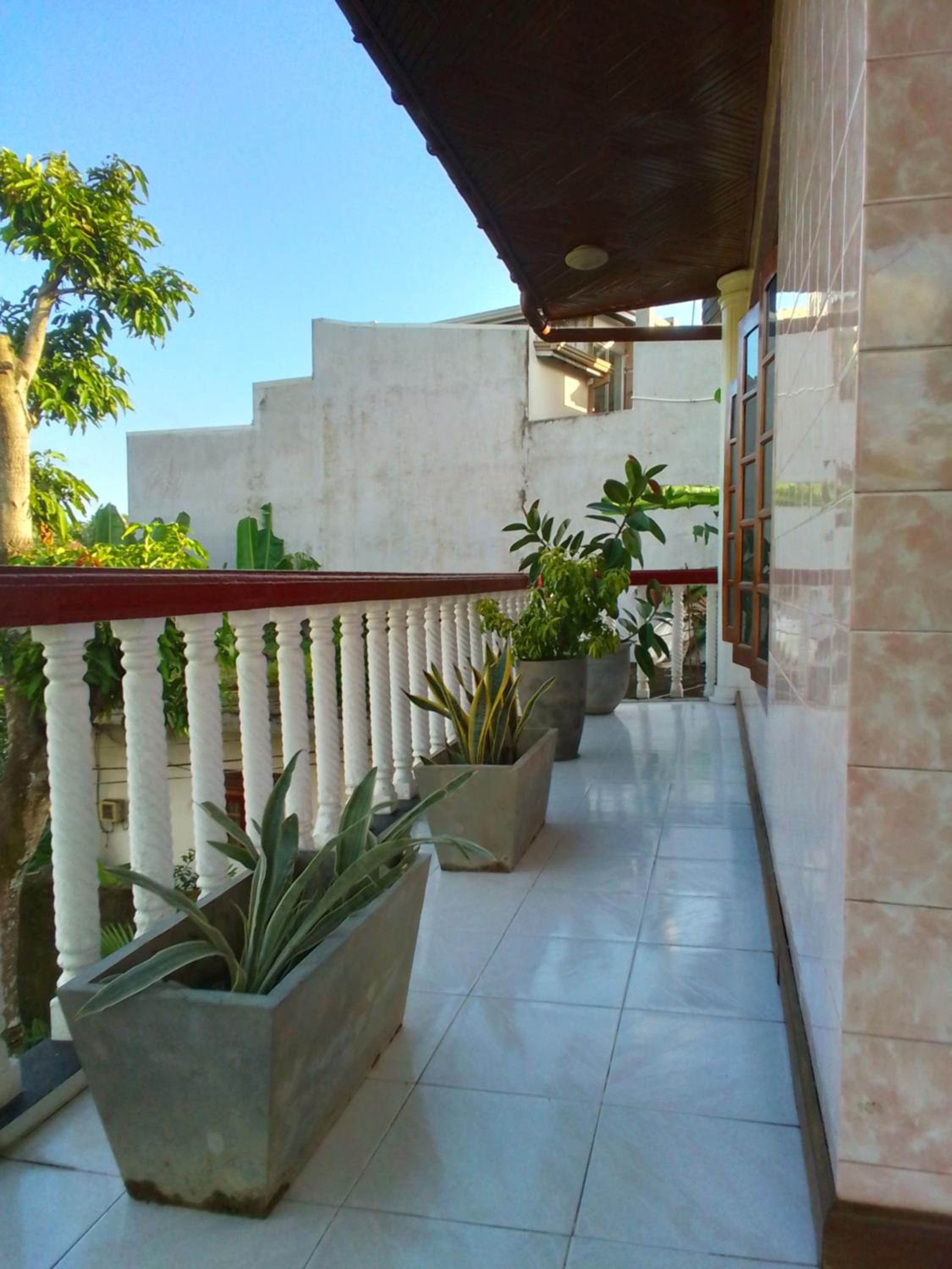 Milii's Home