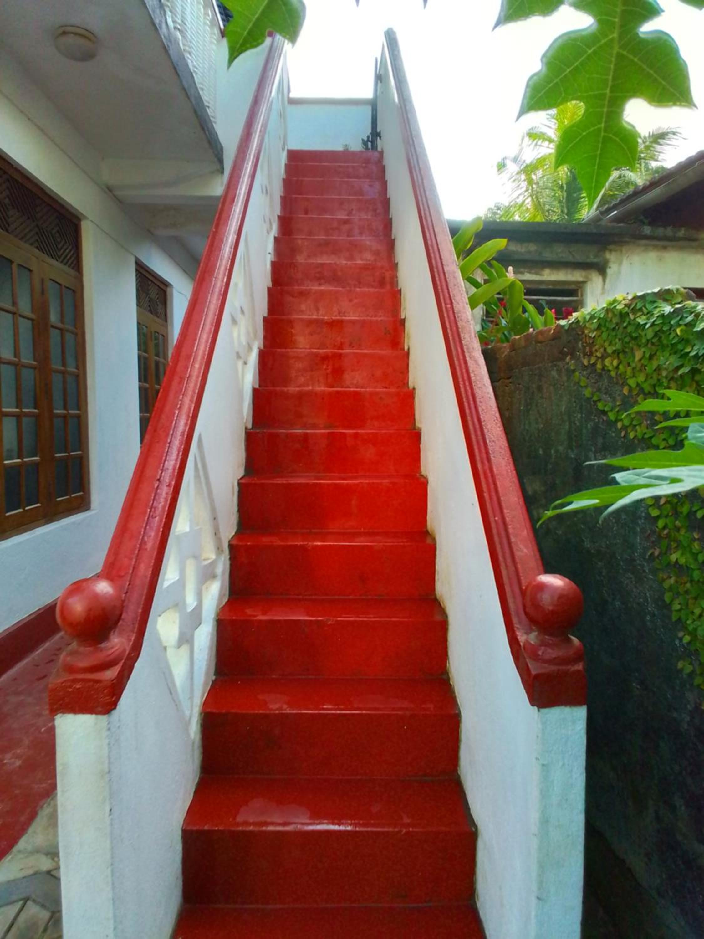 Milii's Home