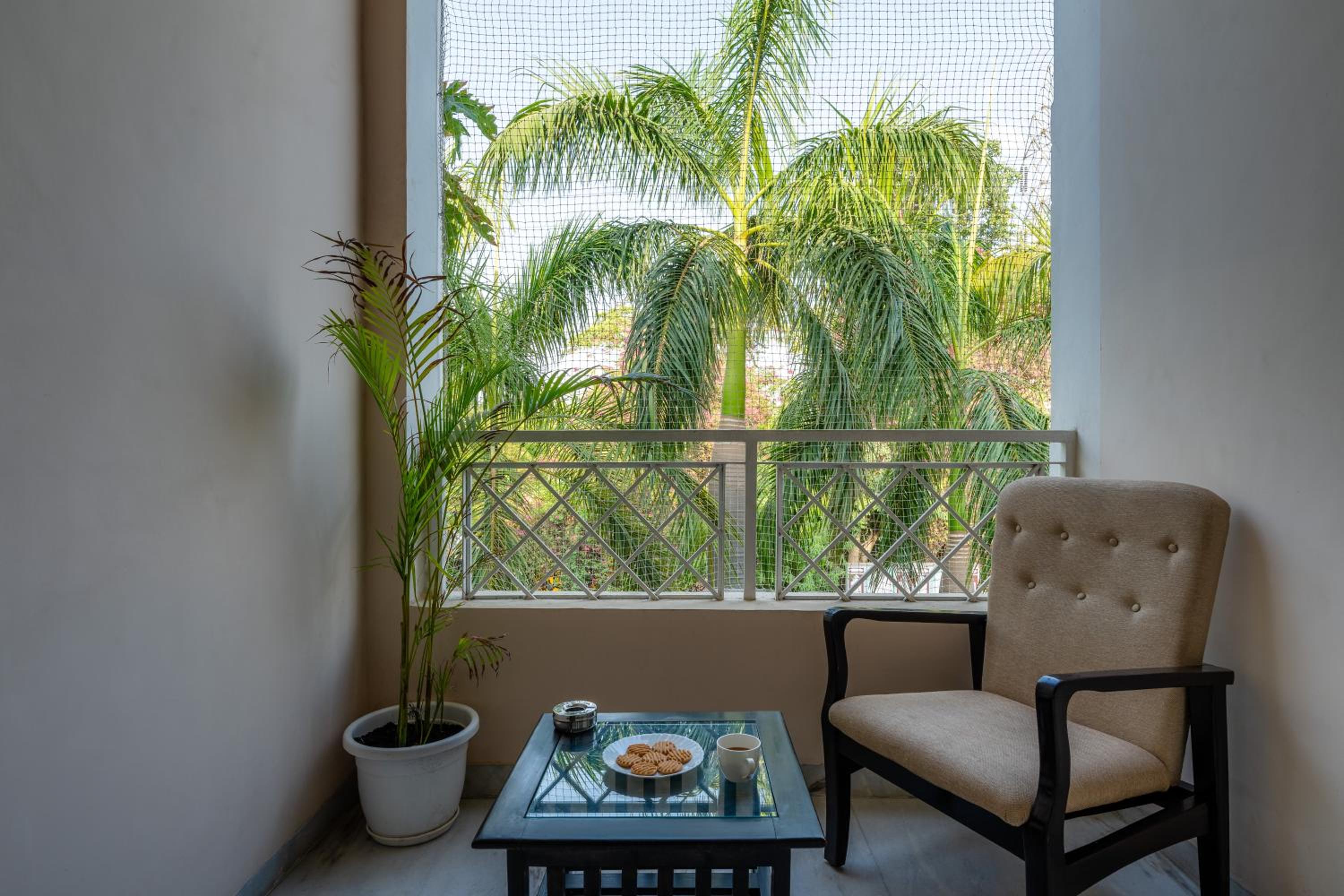 Nine Palms