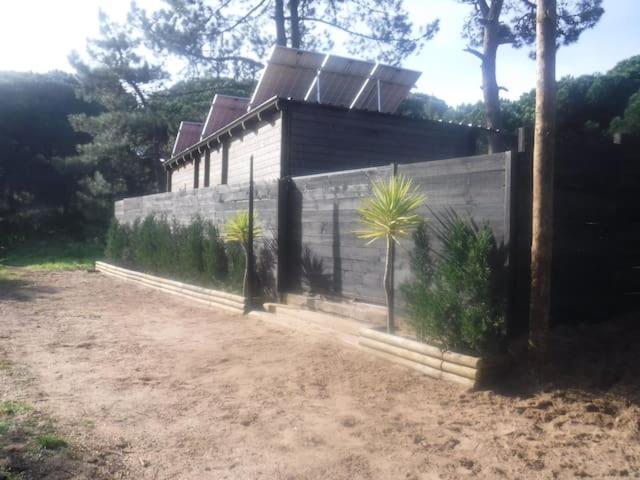Surf Camp Ecológico