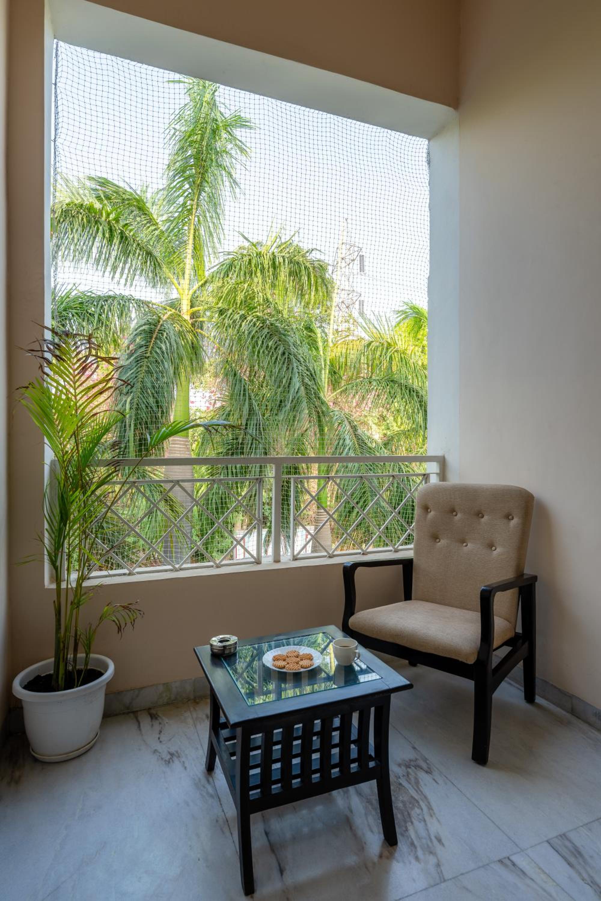 Nine Palms