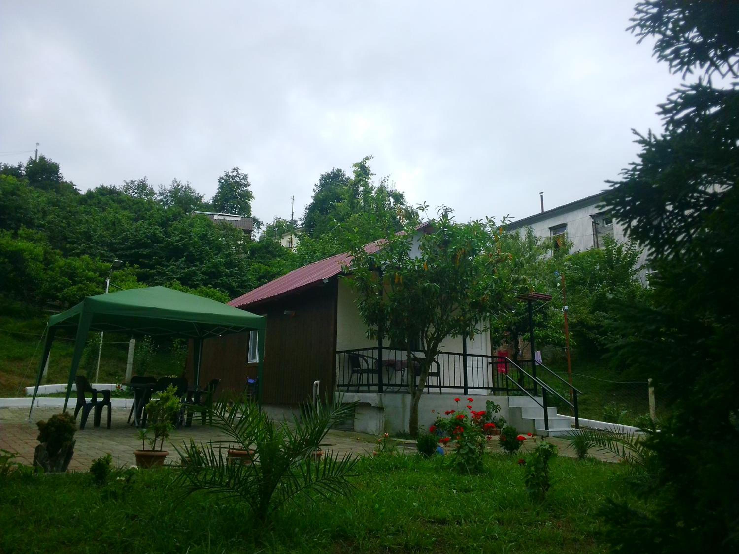 BANI tsikhisdziri
