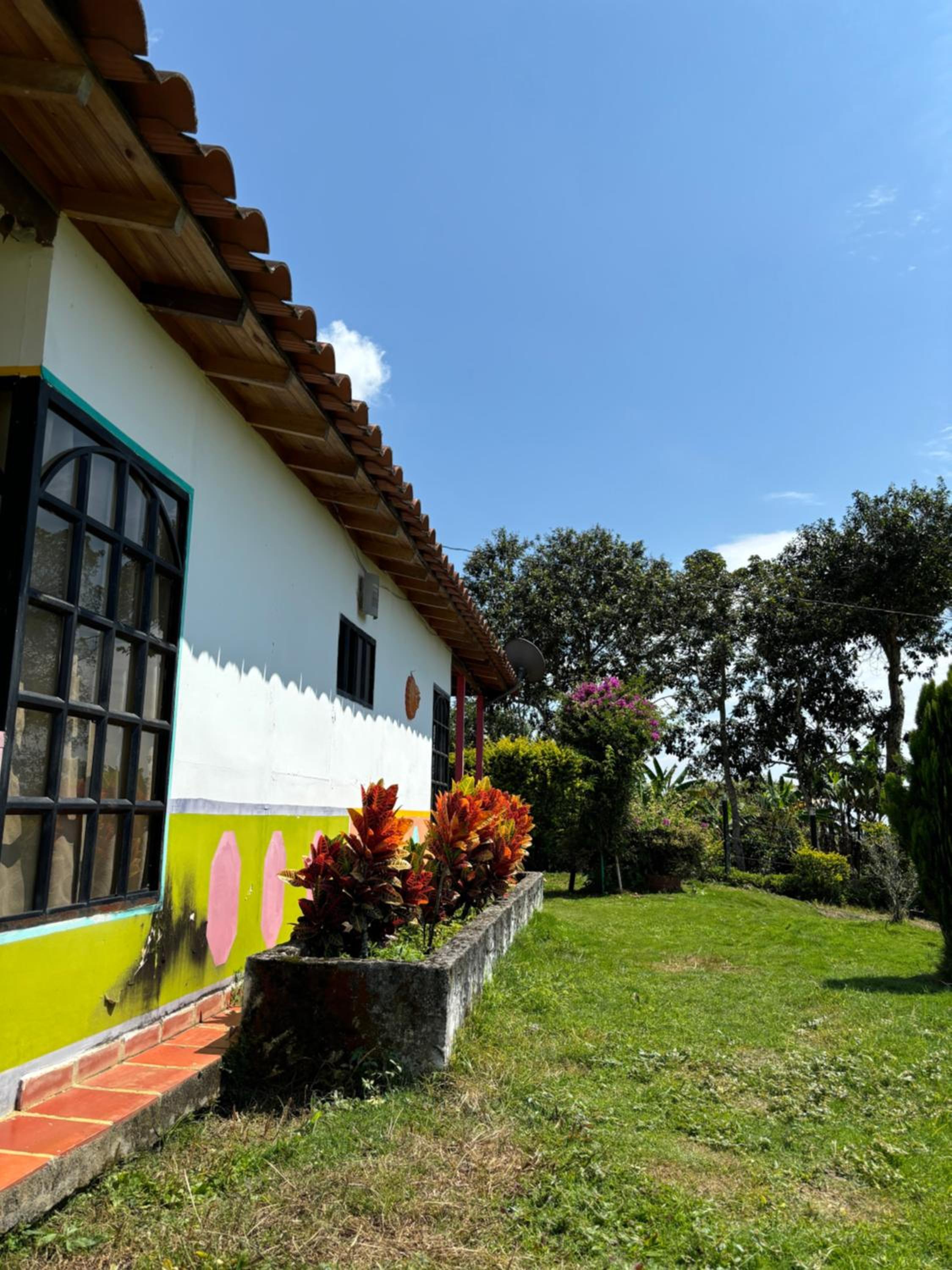 Photo 40