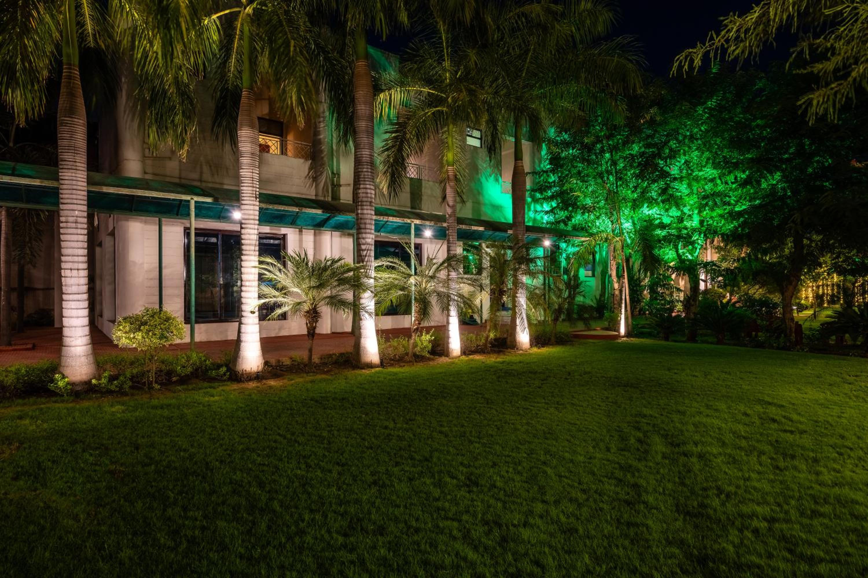 Nine Palms