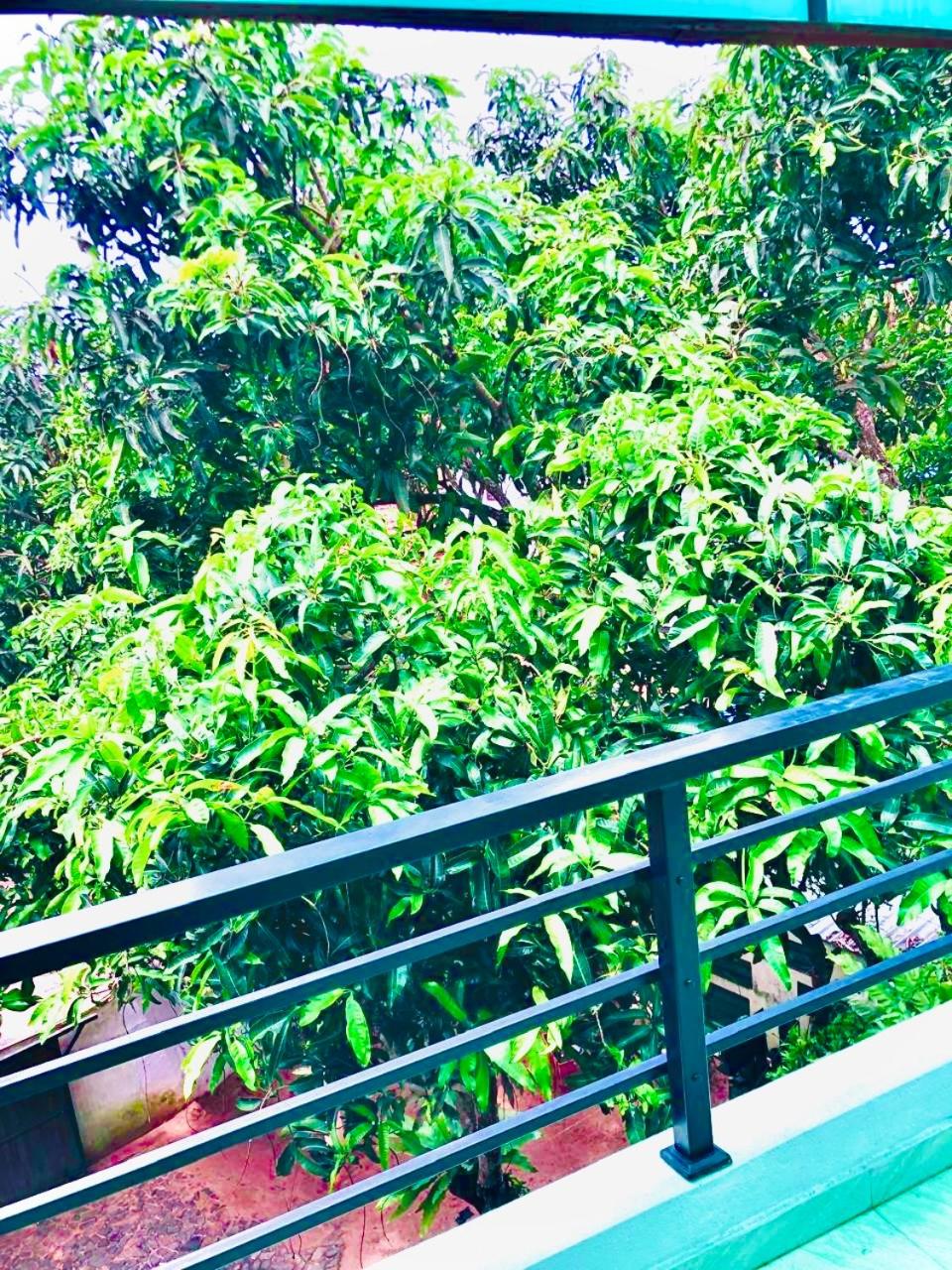 Castle Bay Resort