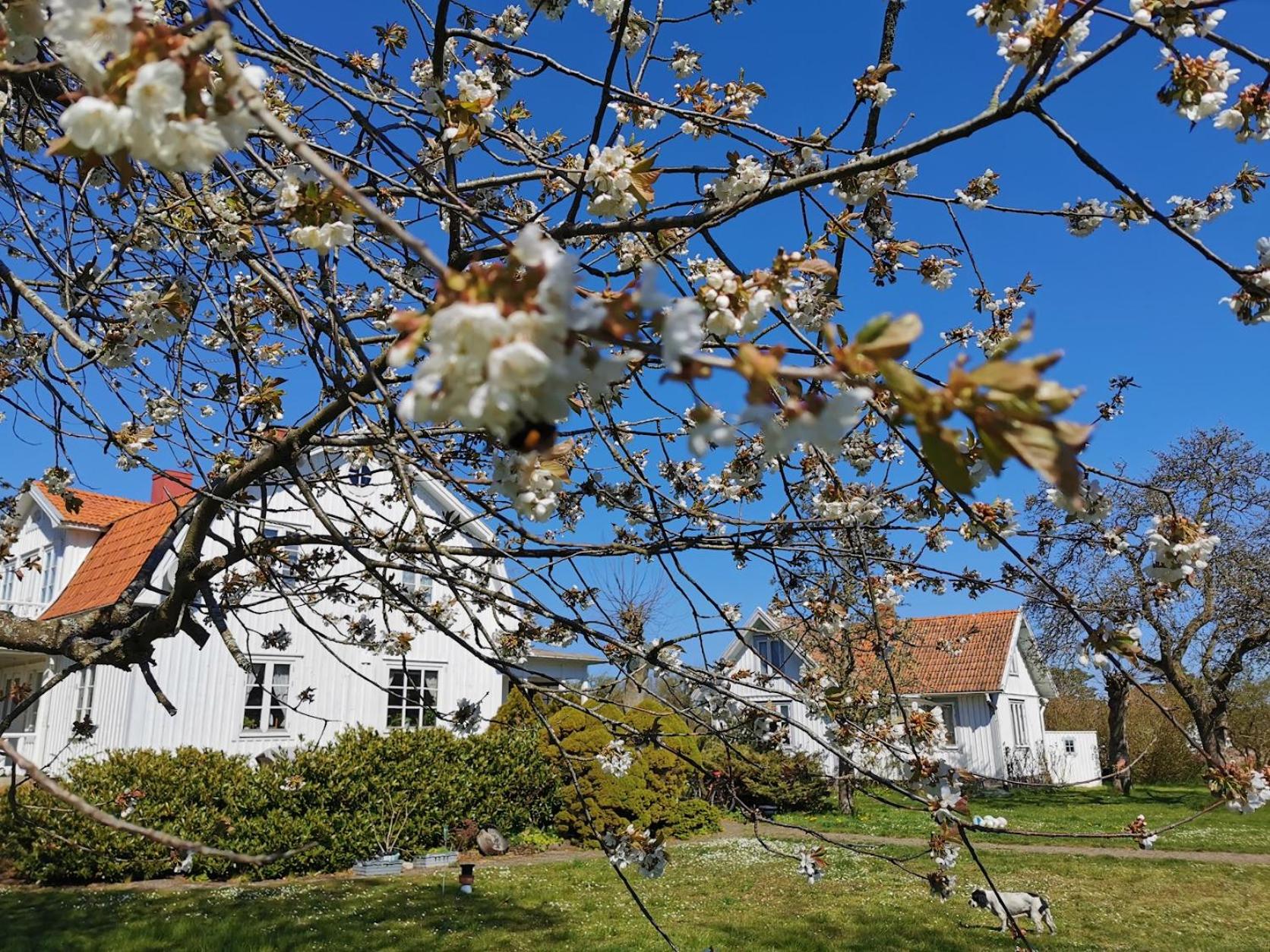 Bond-Gården view 4