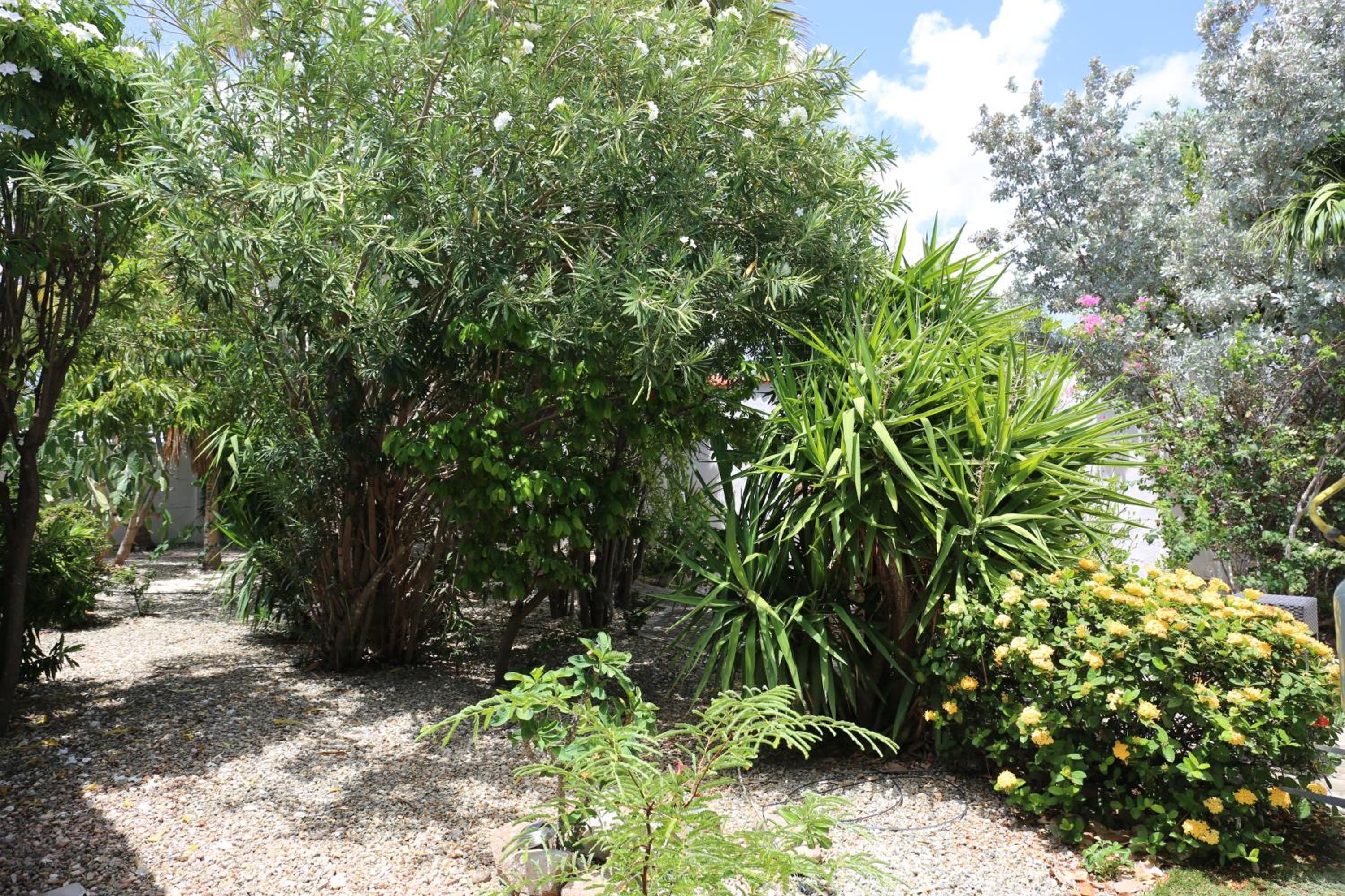Aloe B&B