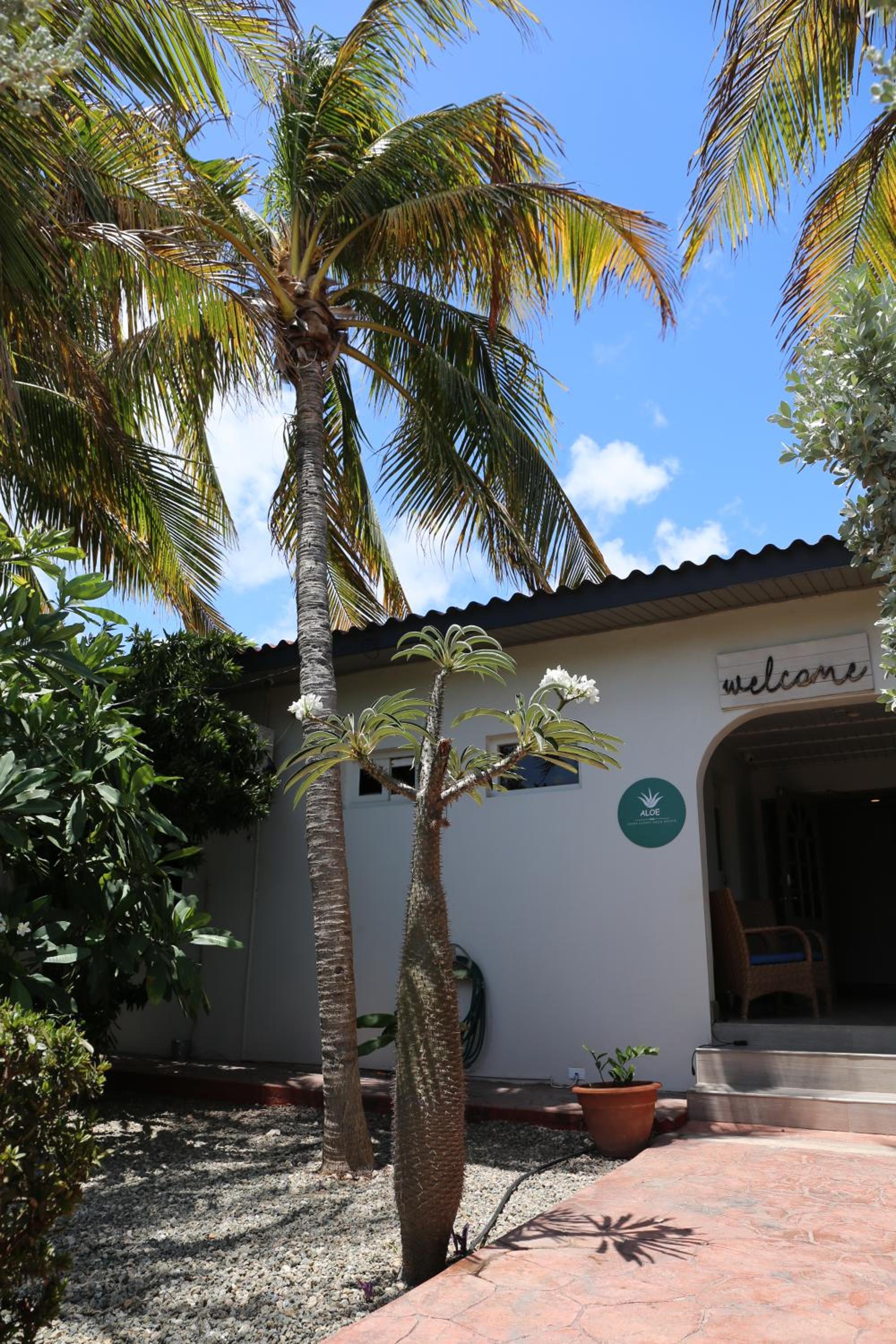 Aloe B&B
