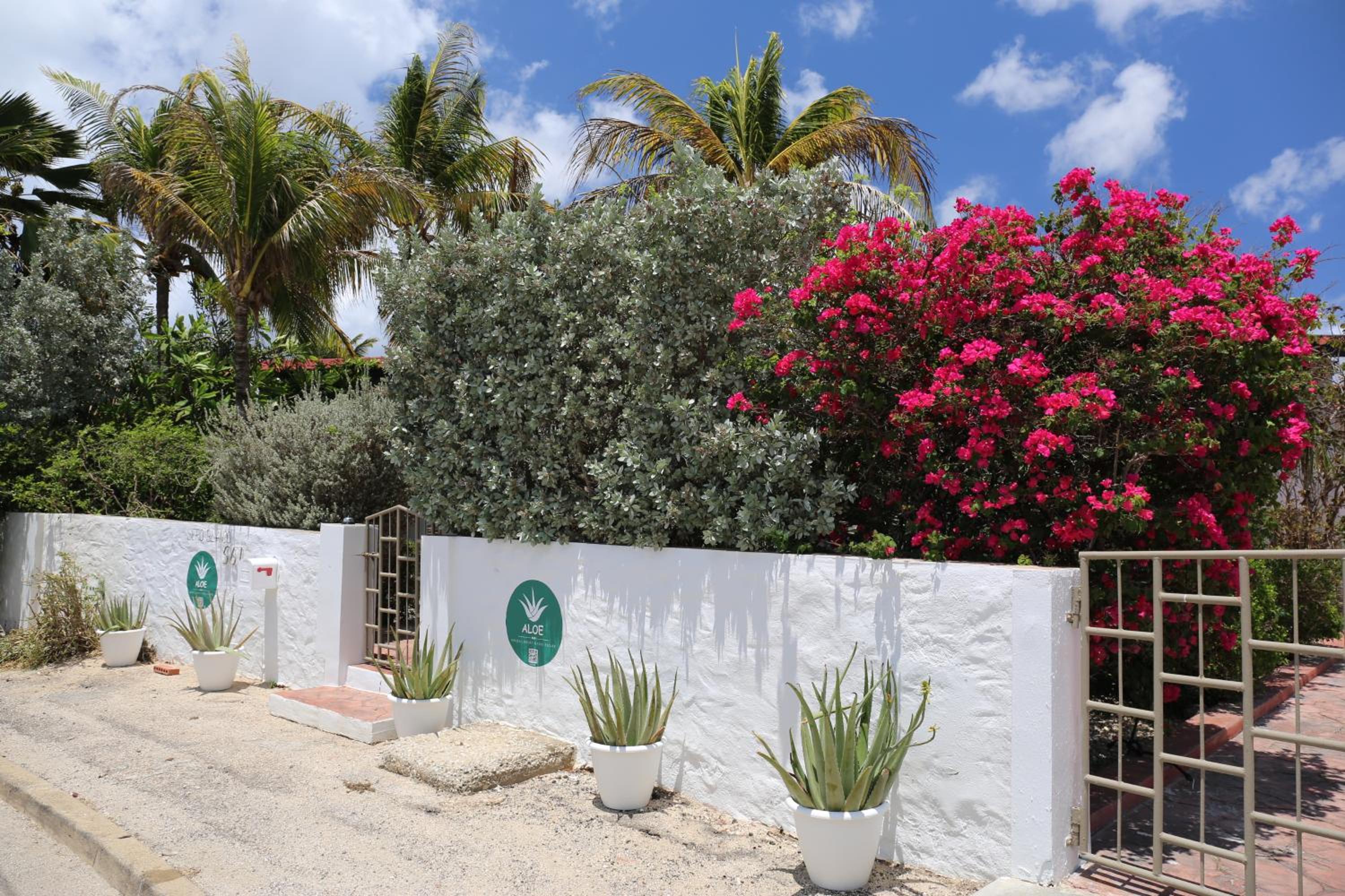 Aloe B&B