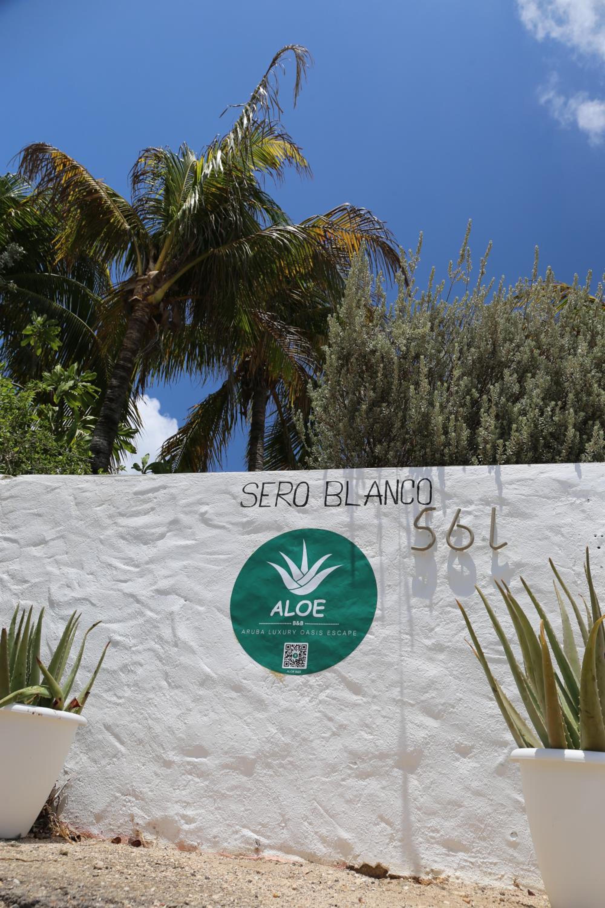 Aloe B&B