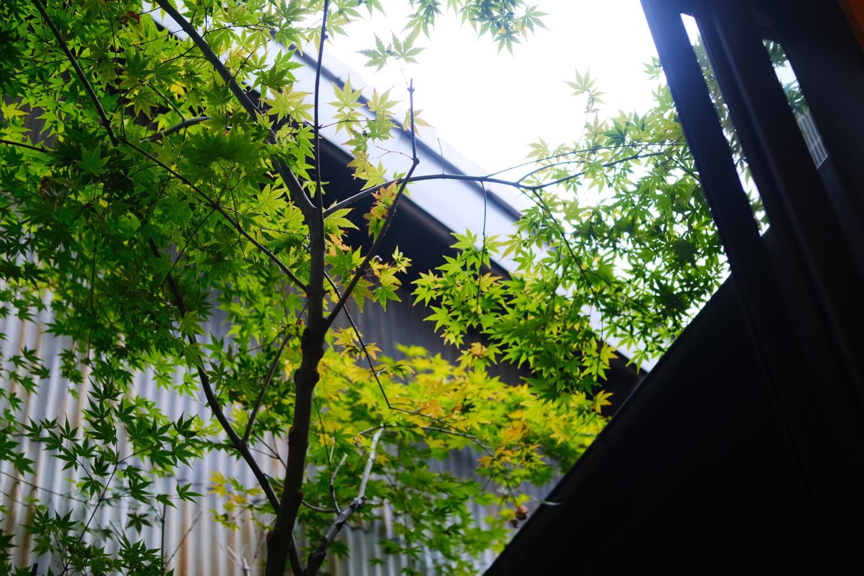 Sloom Kyoto Reclusive Kyo-Machiya in Higashiyama view 2